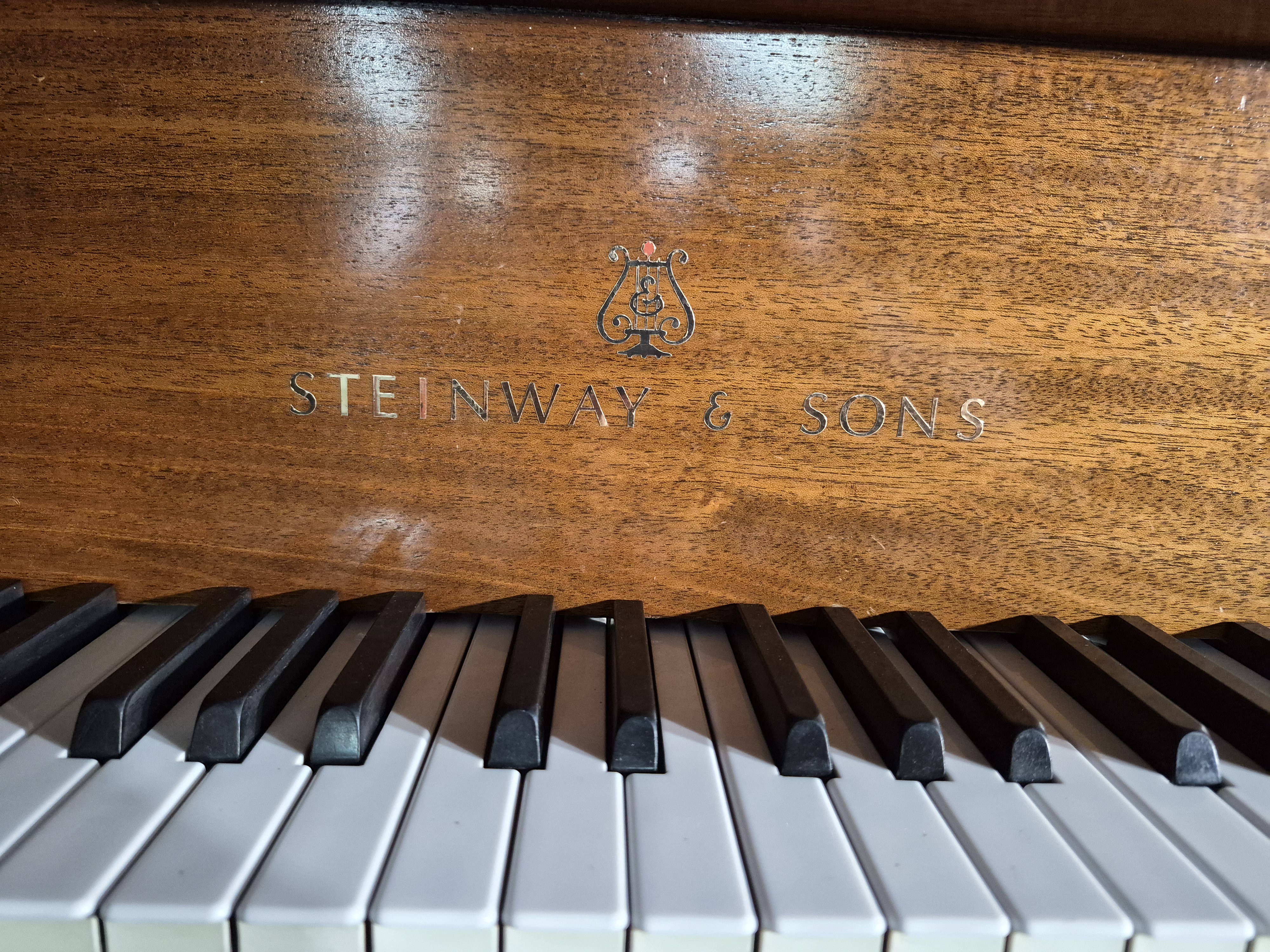 M331 Steinway & Sons Grand Piano - Restauración Premium y Envío Incluido JB