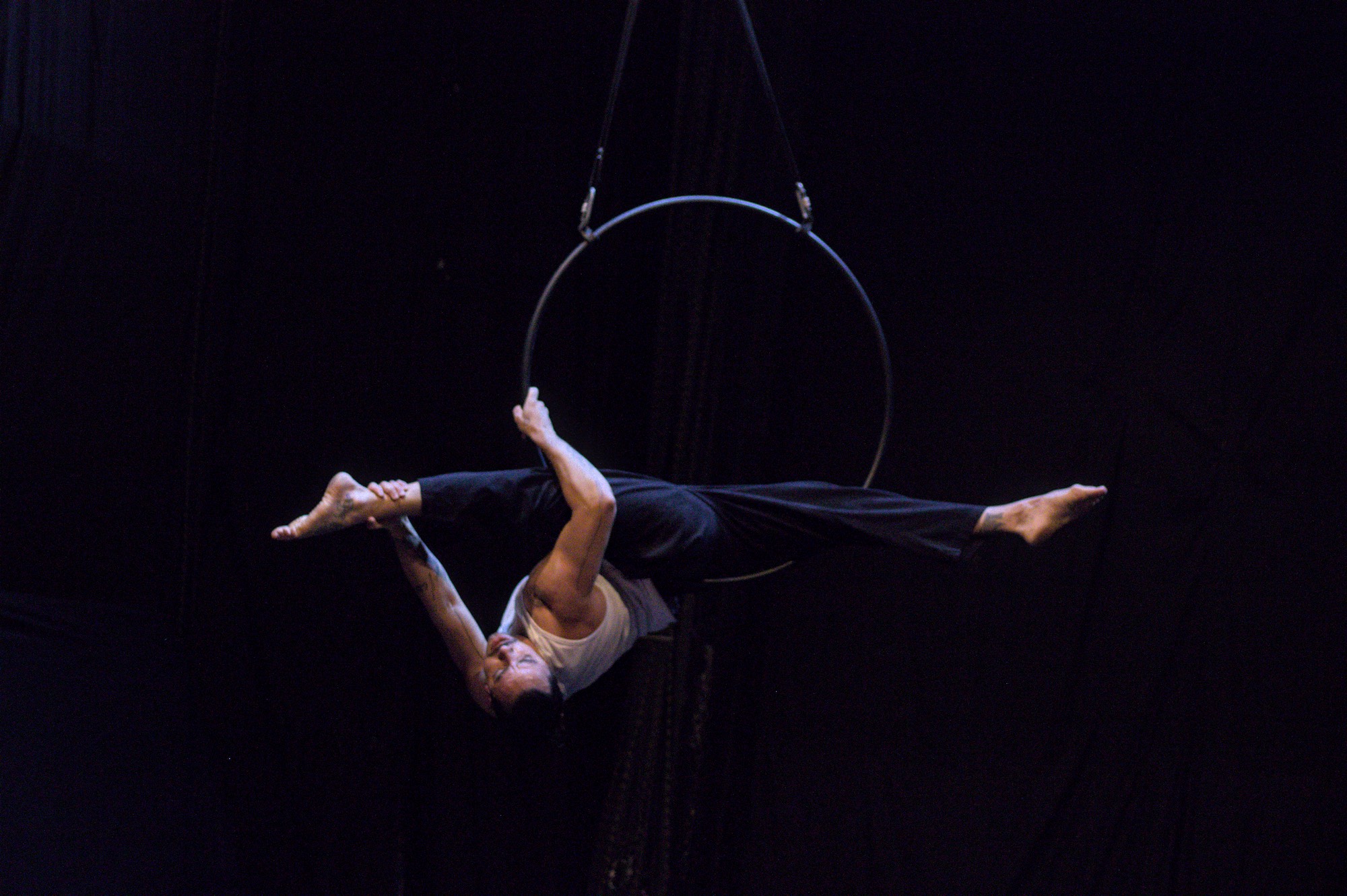 Workshop de Lira Acrobática com Ronan Garcia