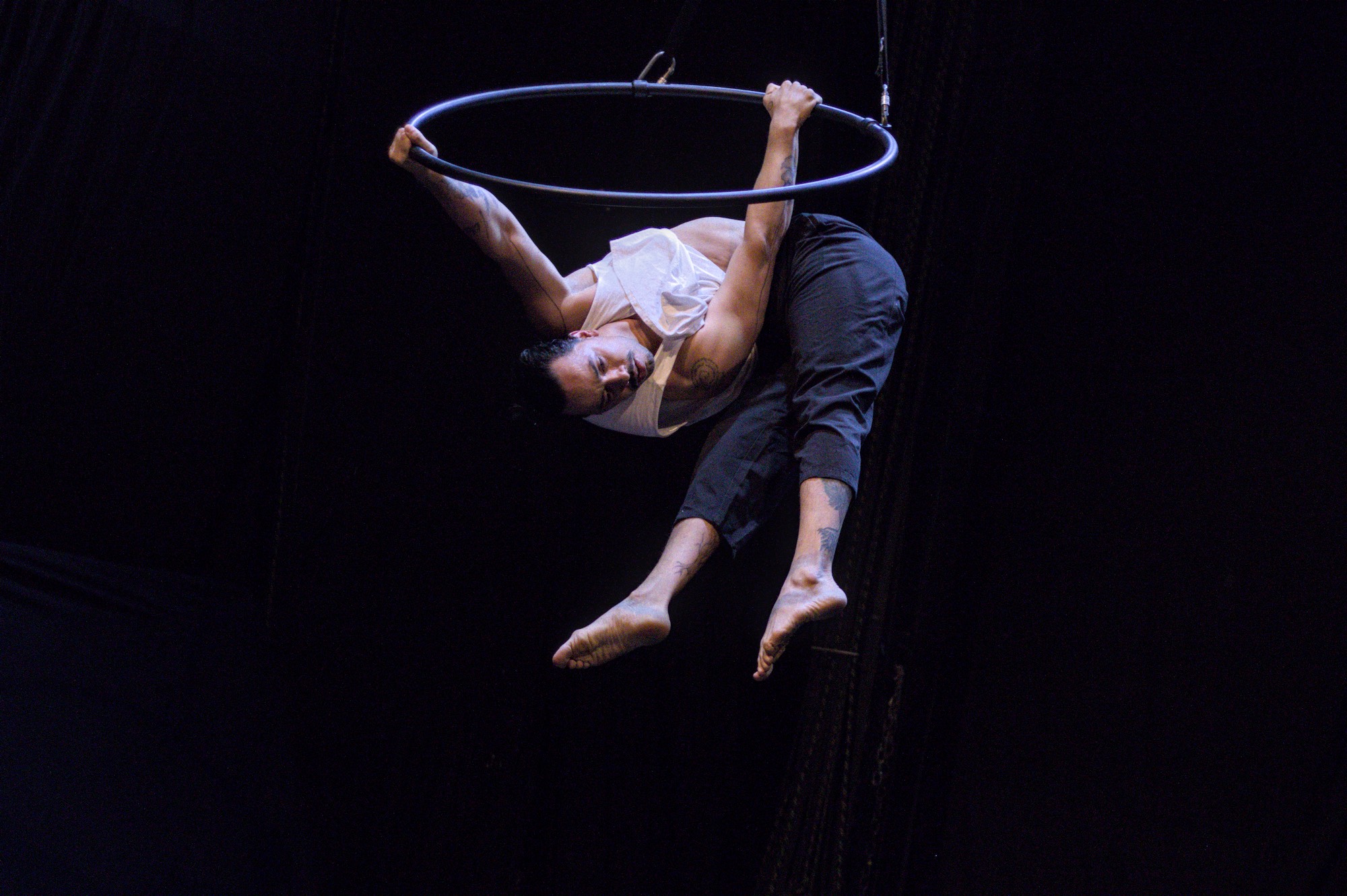Workshop de Lira Acrobática com Ronan Garcia