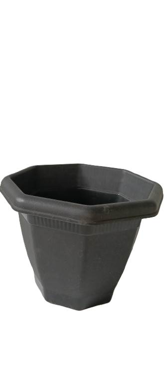 6 inch Hexagonal Black Planter
