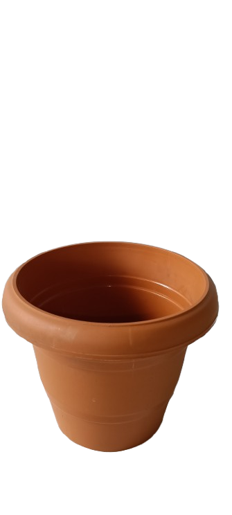 Terracotta Plant Pot
