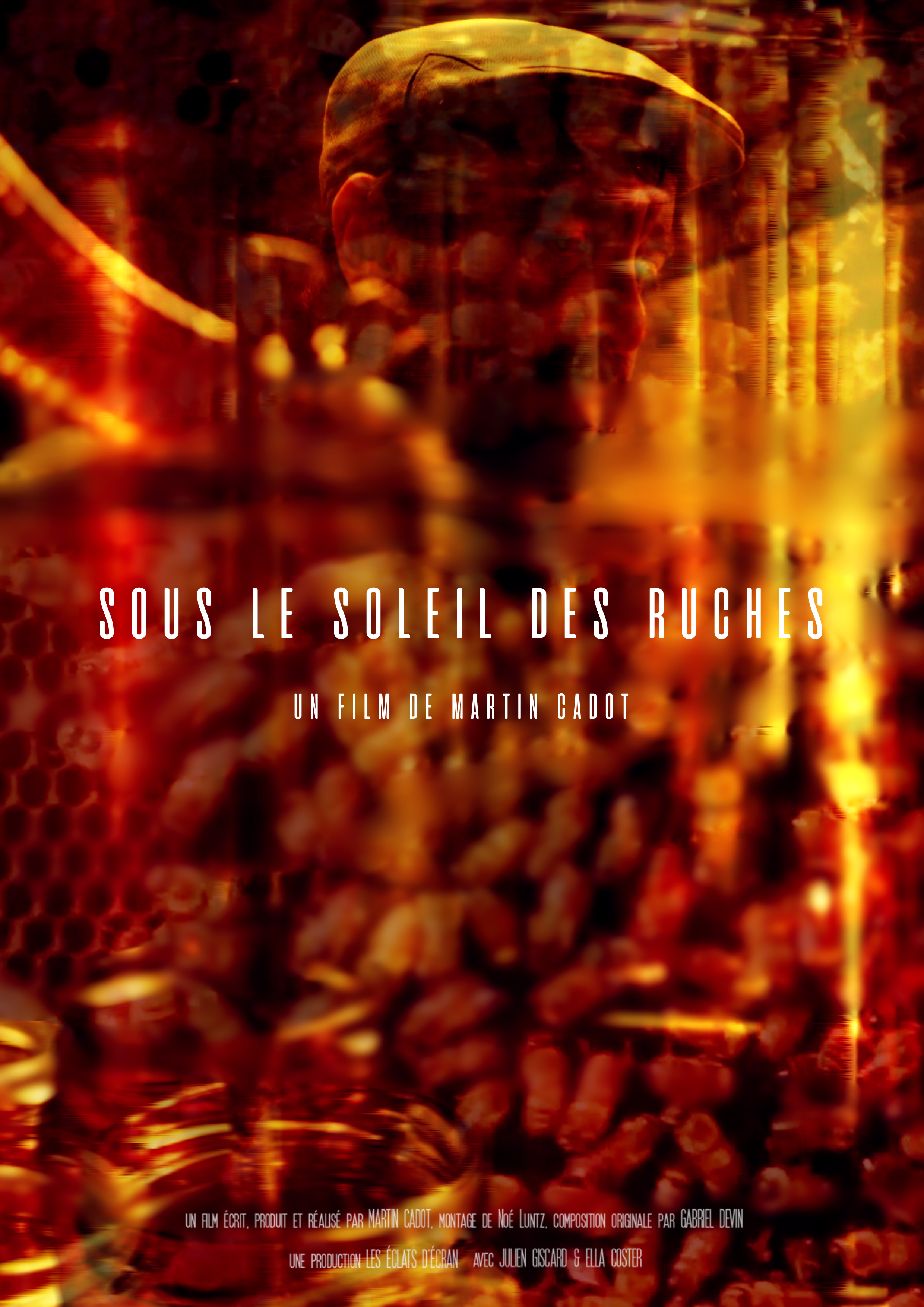 Sous le soleil des ruches