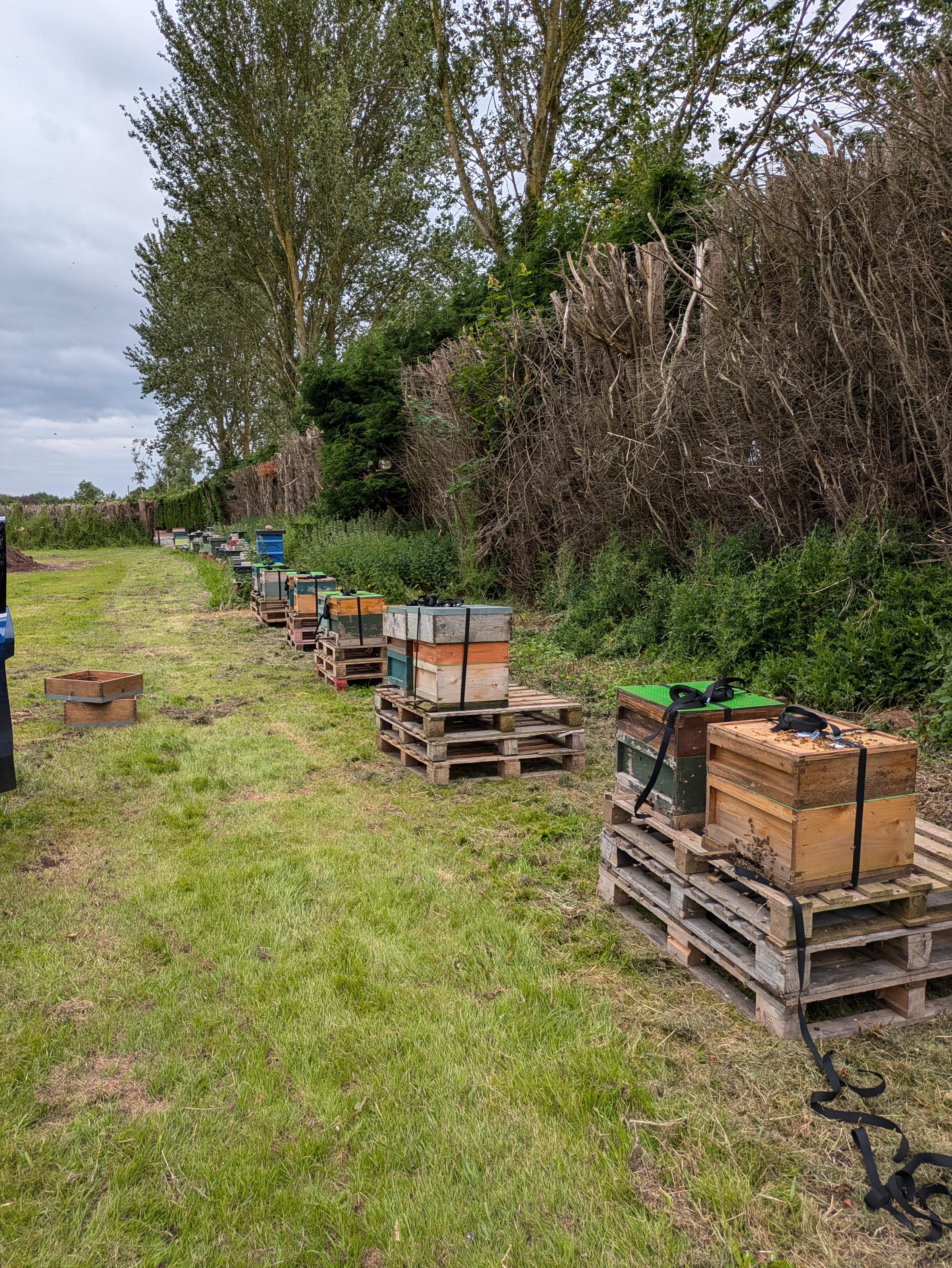 Cakebole Apiary