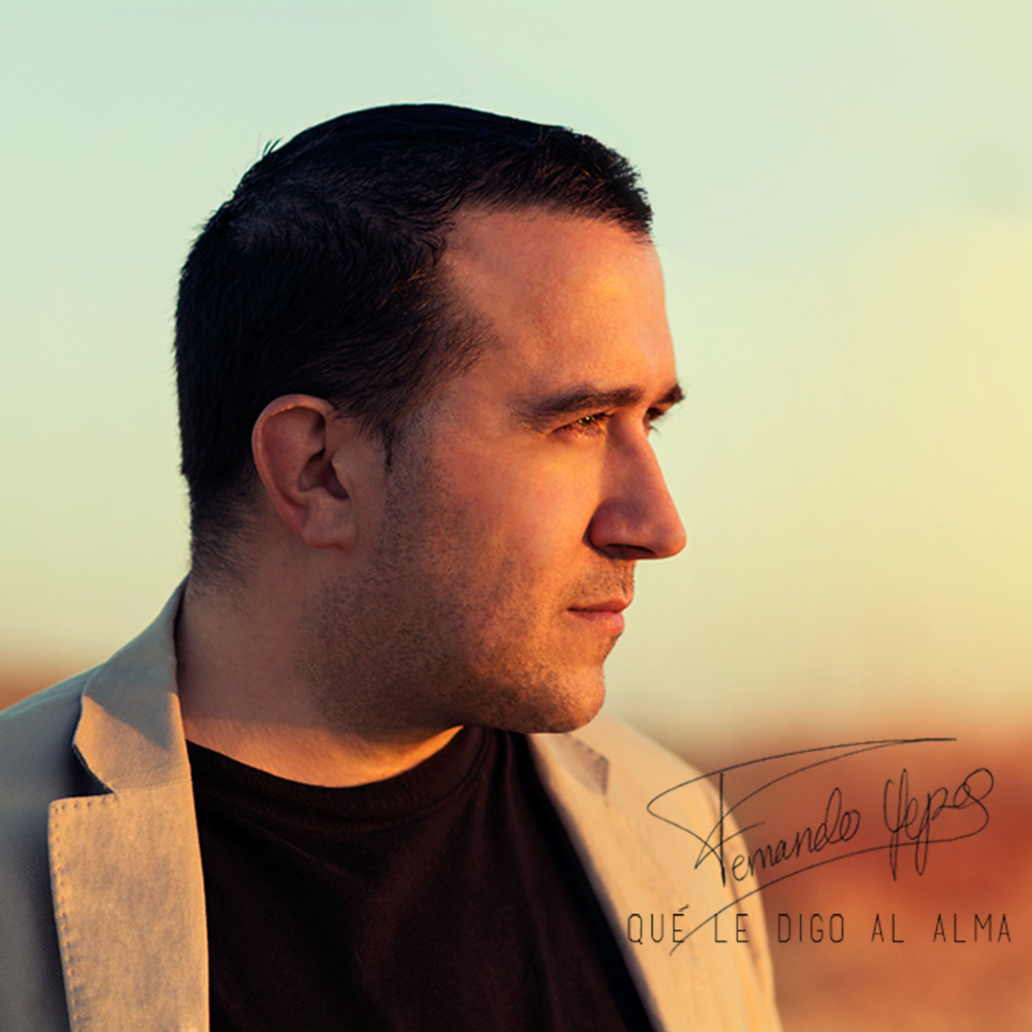 Cómo decirte que te quiero