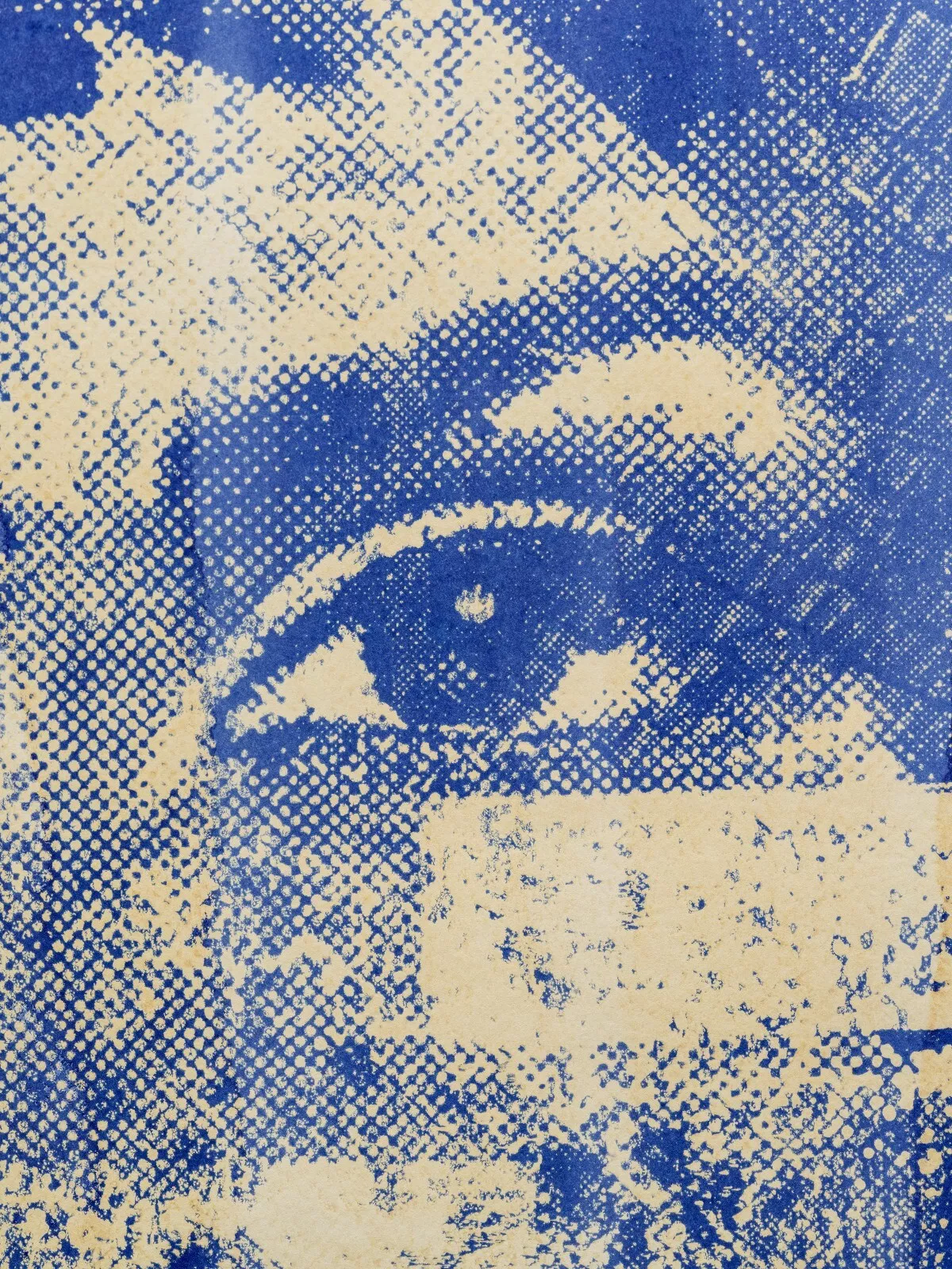 VHILS