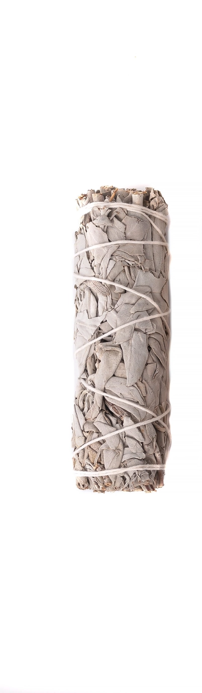 4 Inch California White Sage Smudge