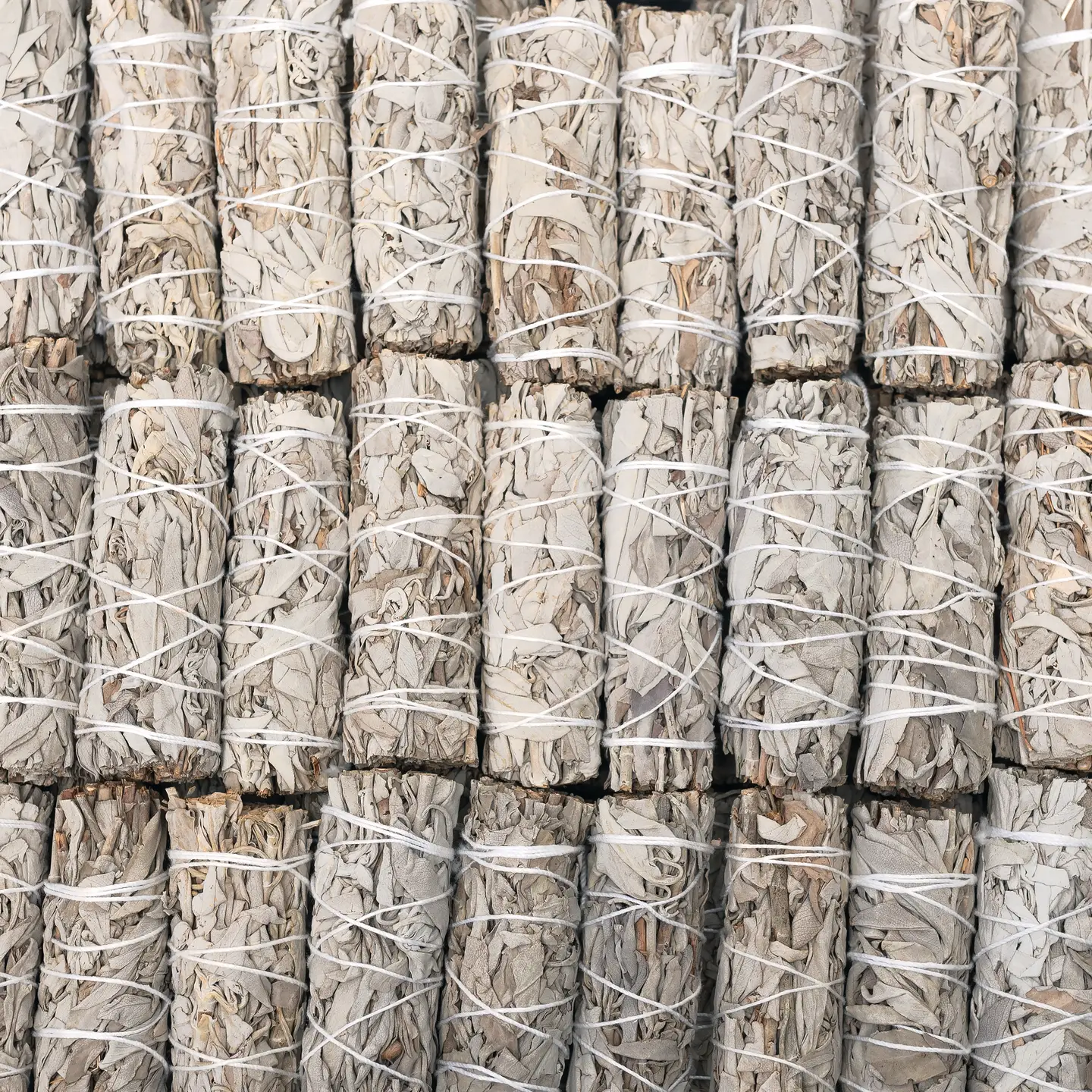 4 Inch California White Sage Smudge