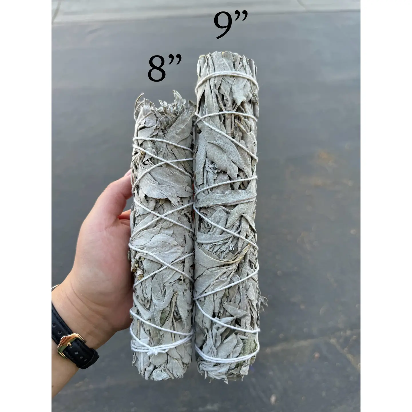9-In California White Sage Bundle