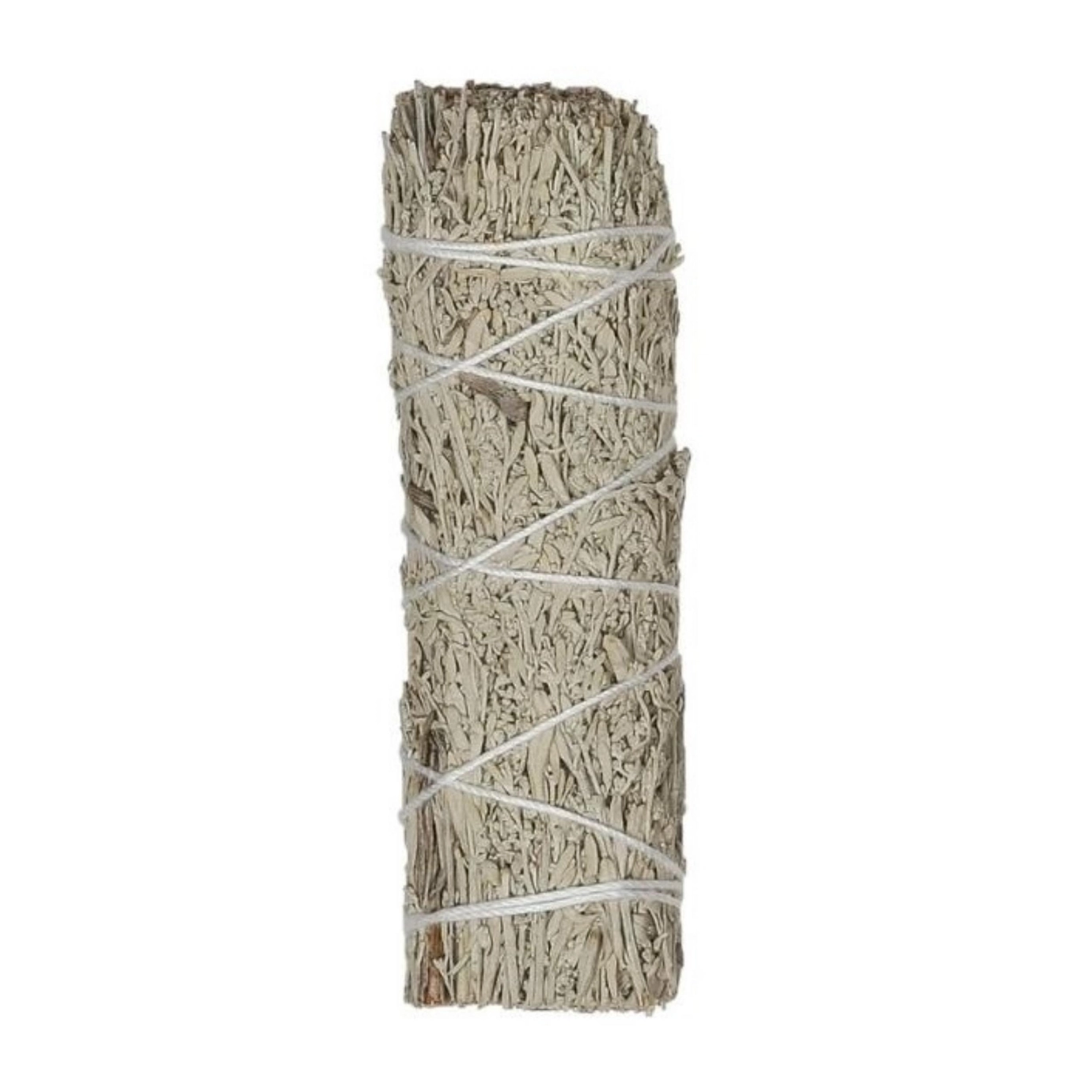 Blue Sage Smudge Bundle