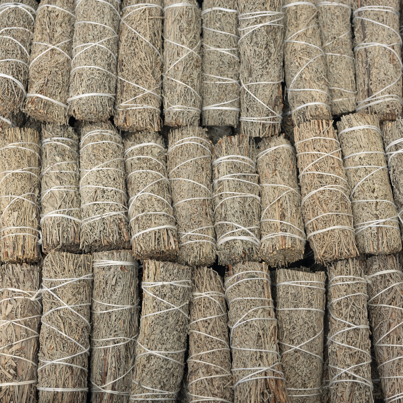 Blue Sage Smudge Bundle