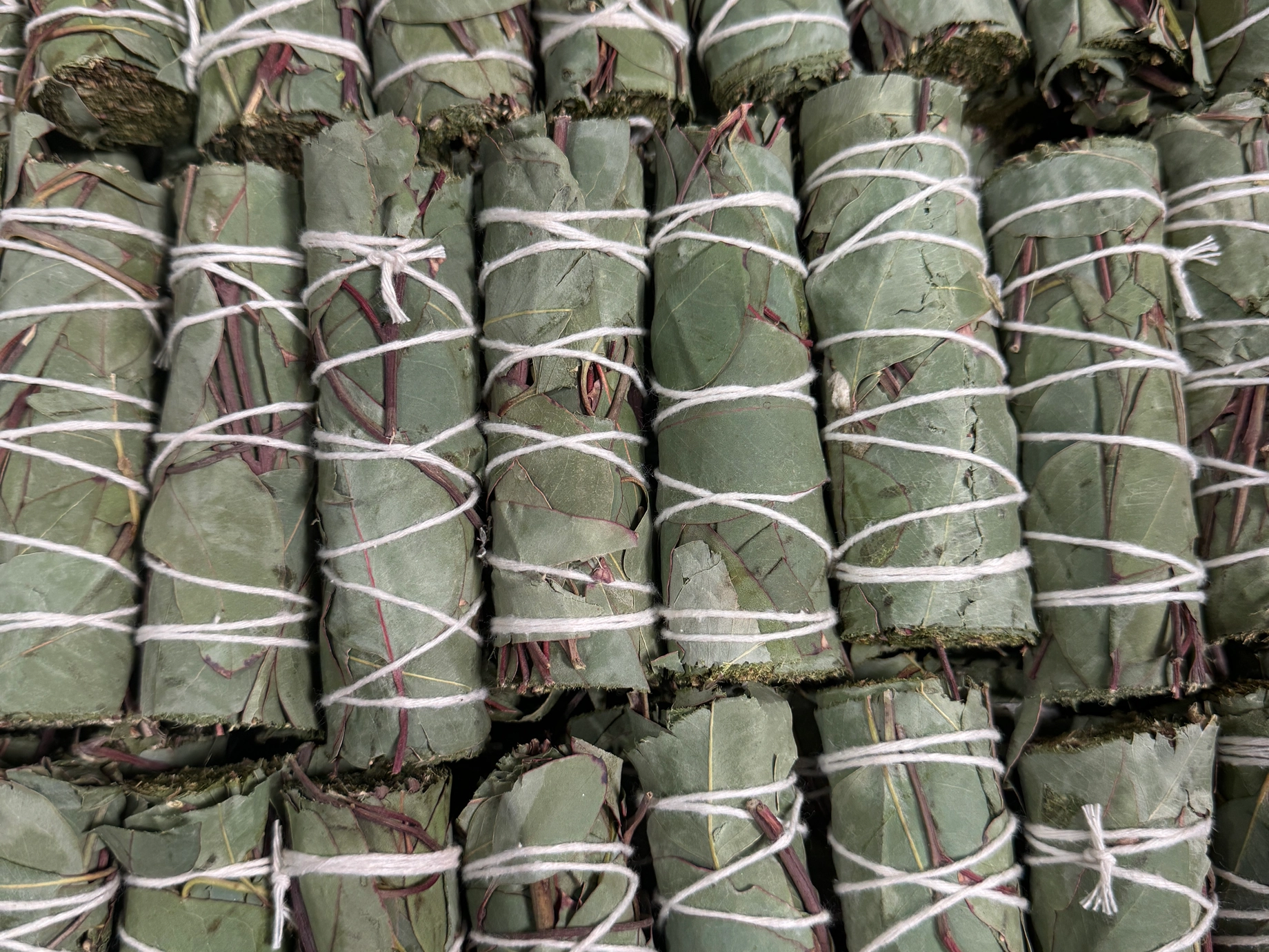 Eucalyptus Herb Bundle