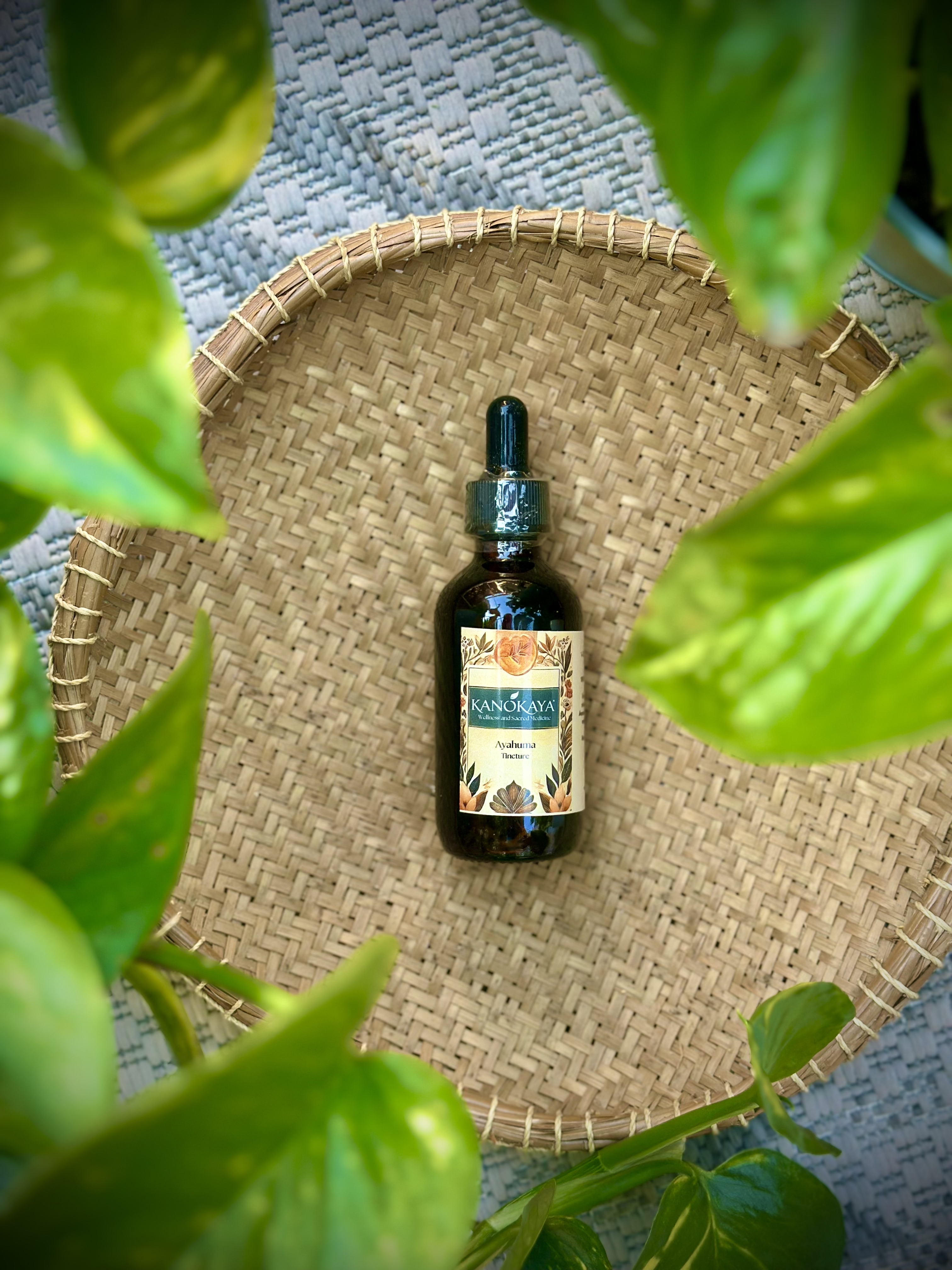 Ayahuma Tincture - 2oz