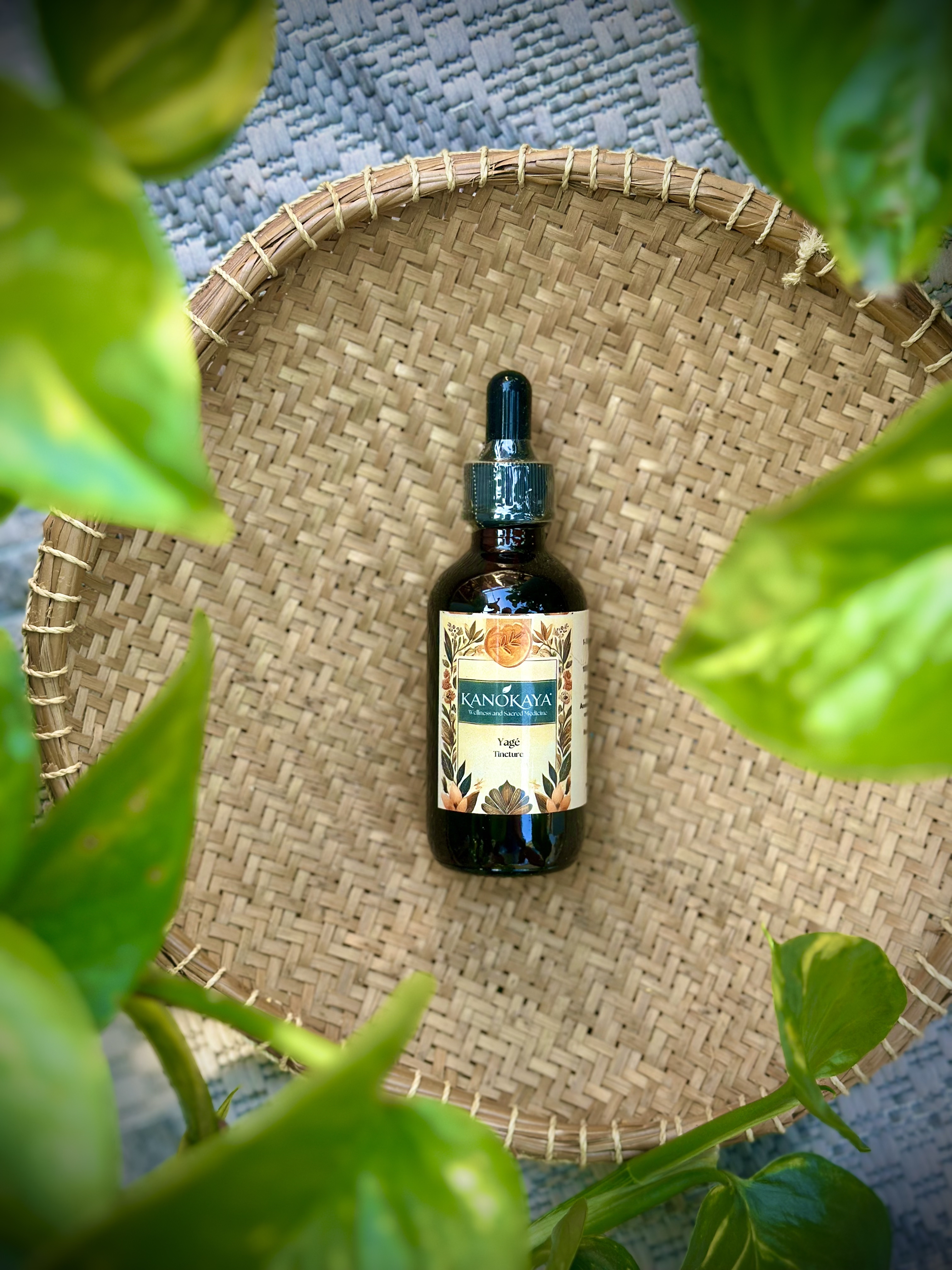 Yagé Tincture - 2oz