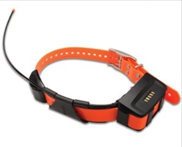 Dog Tracking Collar