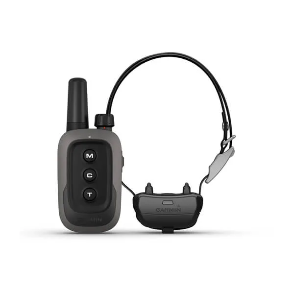 Remote Dog Training Collar
