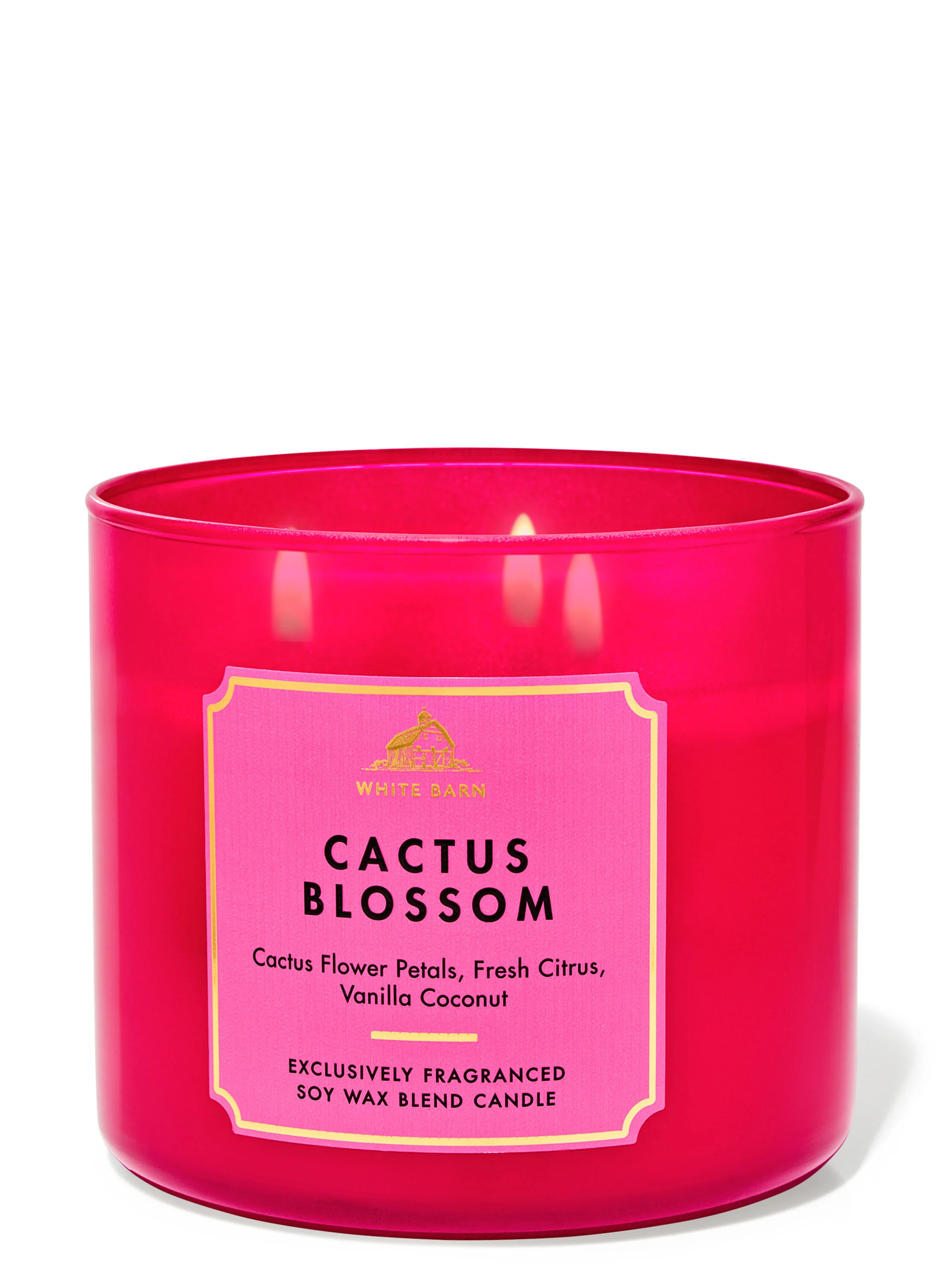 Cactus Blossom Candle