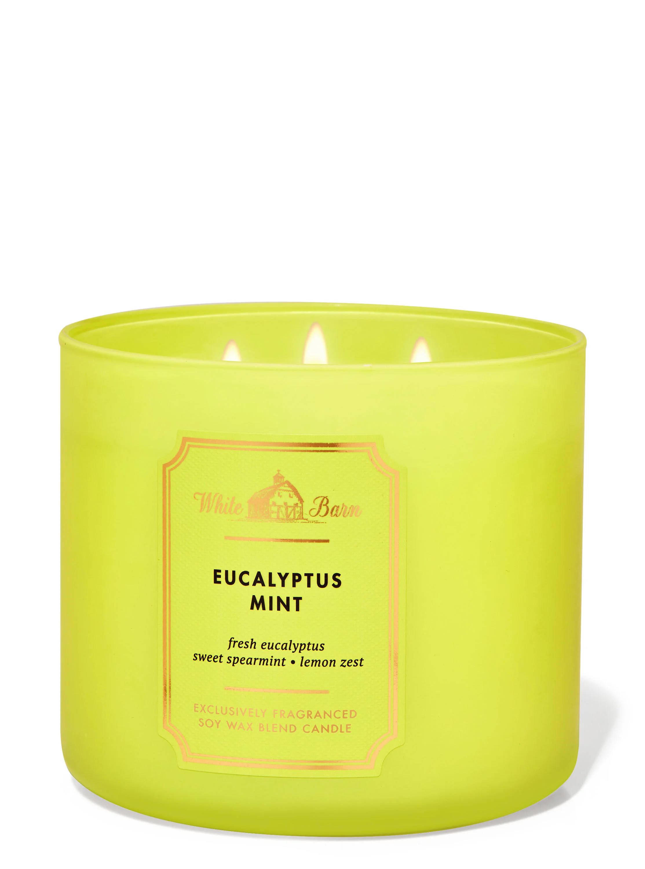 Eucalyptus Mint Candle