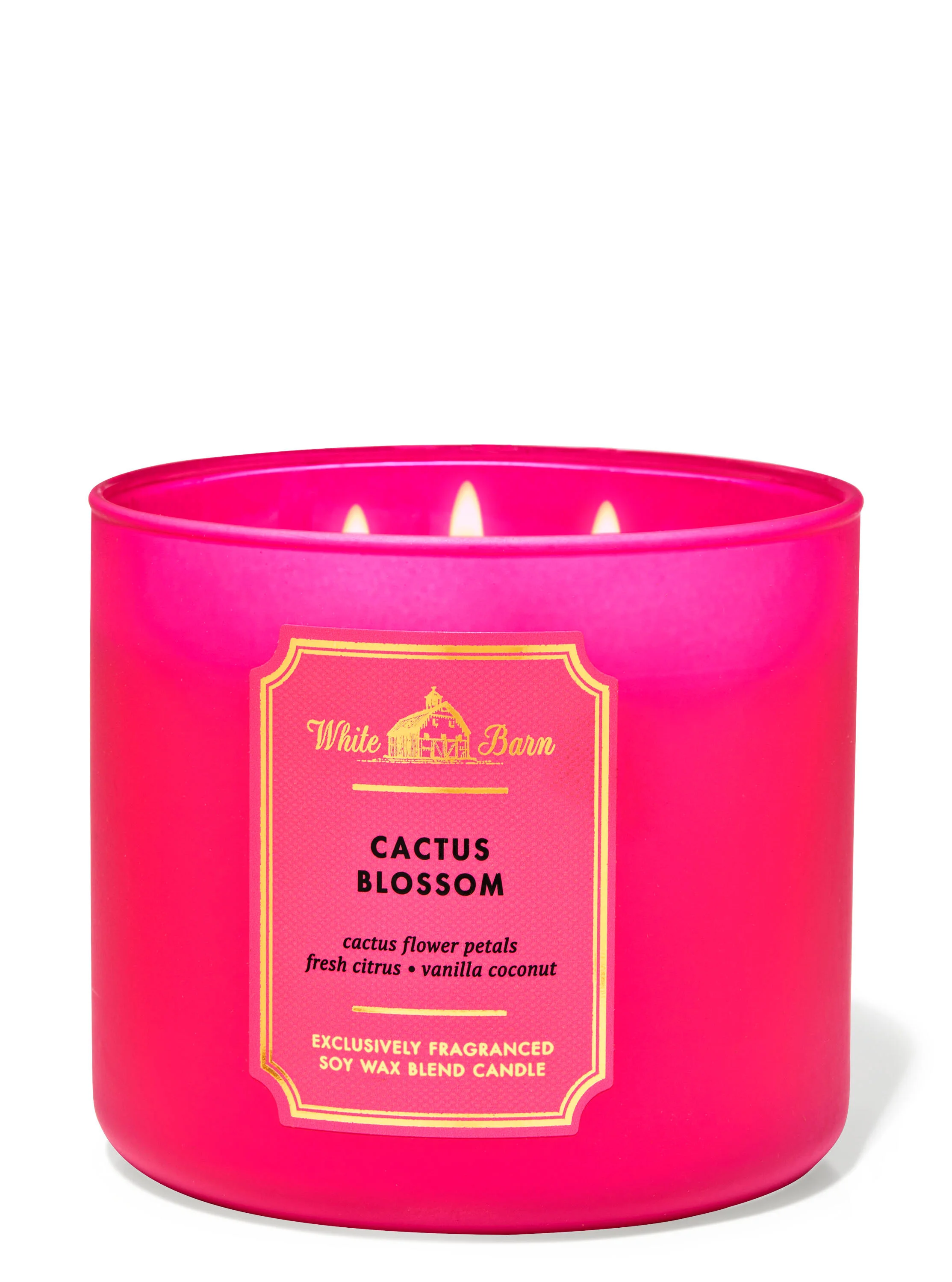 Cactus Blossom Candle