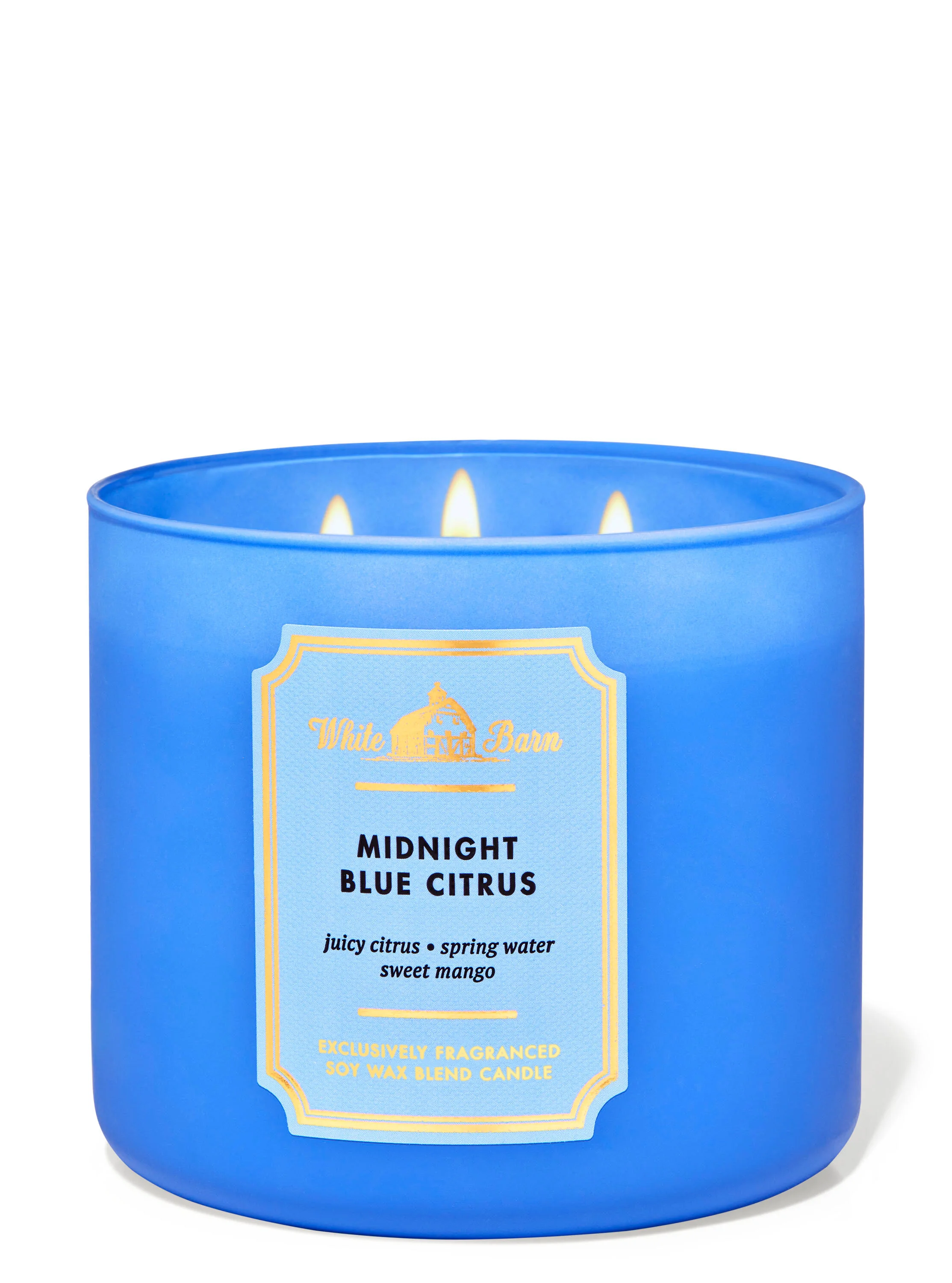 Midnight Blue Citrus Candle