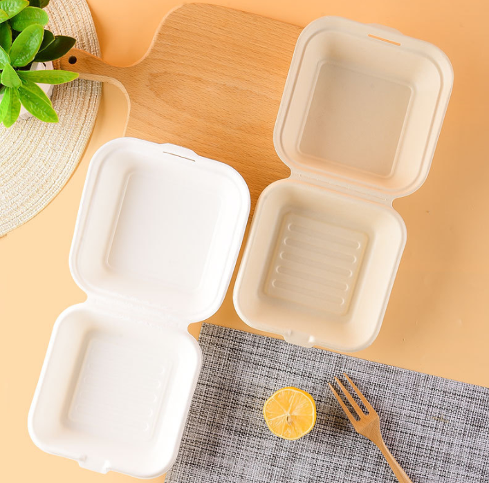 combo 150 Hộp đựng bao bì dùng một lần bán buôn hộp khóa hộp đựng cơm trưa mang đi hộp đựng cơm trưa hamburger hộp đựng bánh trái cây phân hủy sinh học