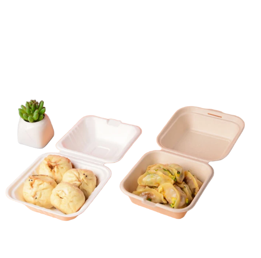 combo 150 Hộp đựng bao bì dùng một lần bán buôn hộp khóa hộp đựng cơm trưa mang đi hộp đựng cơm trưa hamburger hộp đựng bánh trái cây phân hủy sinh học