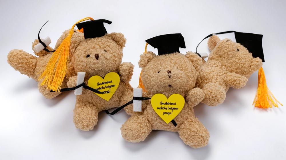 Meškiukas „Sveikinimai mokslų baigimo proga“