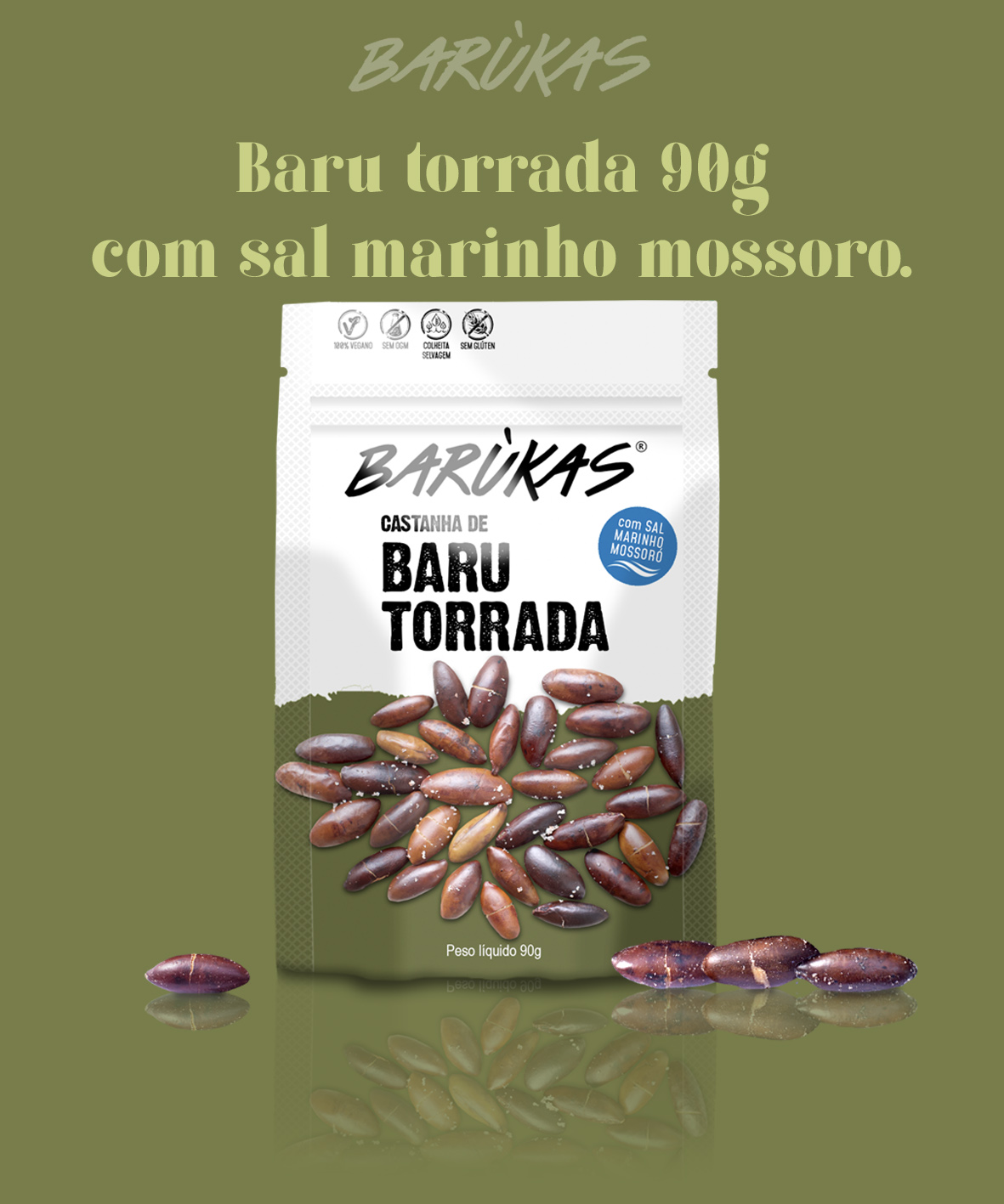 Castanha de Baru torrada com sal 90g