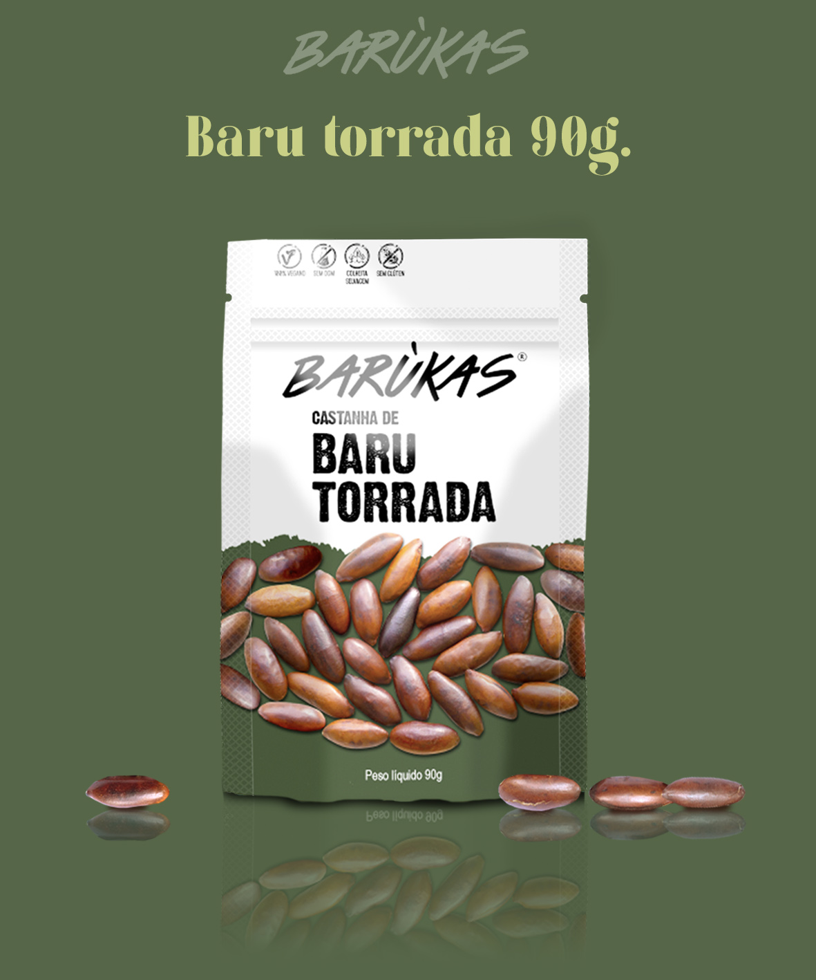 Castanha de Baru torrada 90g