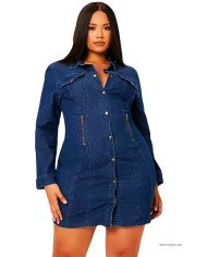 Denim Button-Up Dress