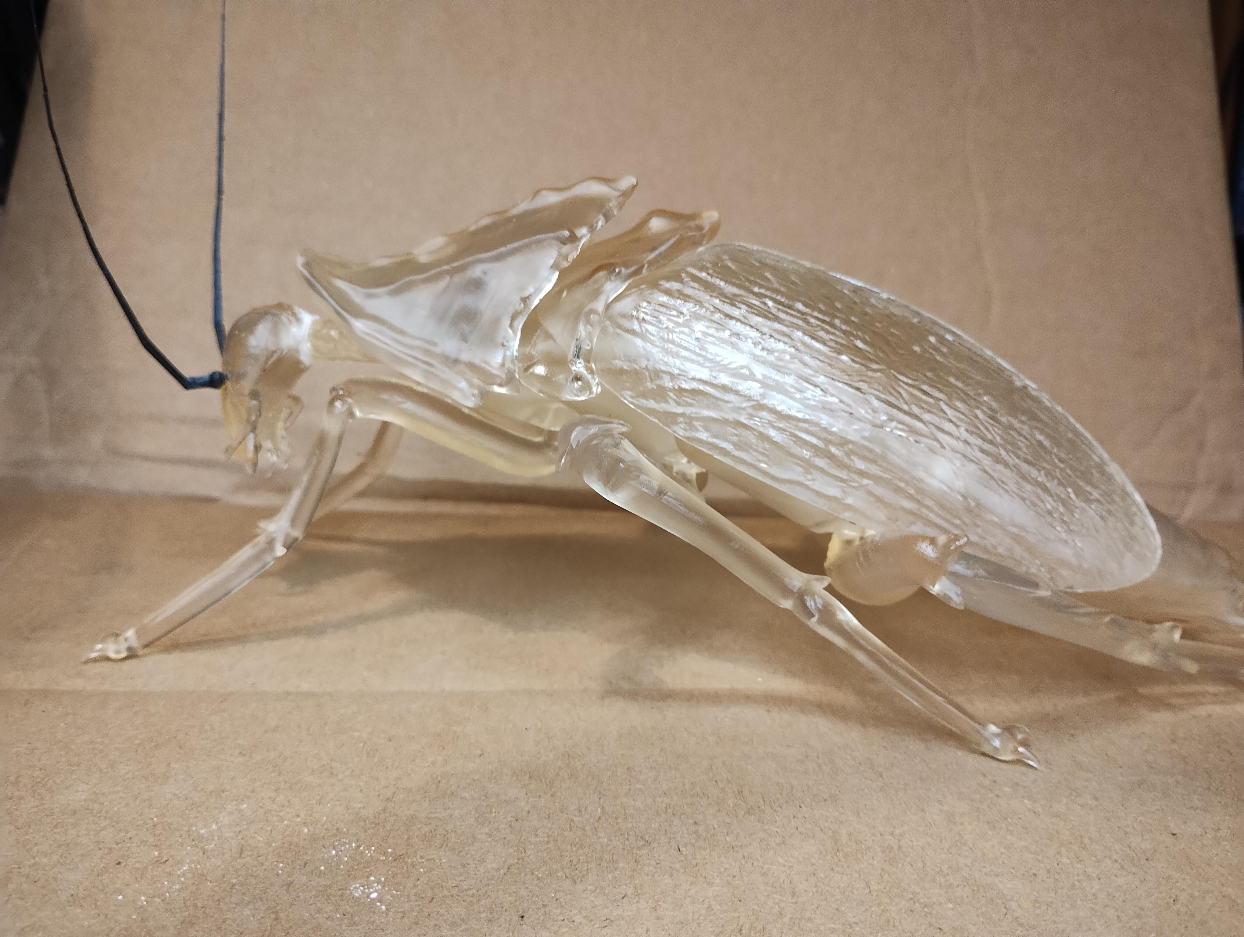 Radroach, giant Cockroach DIY KIT