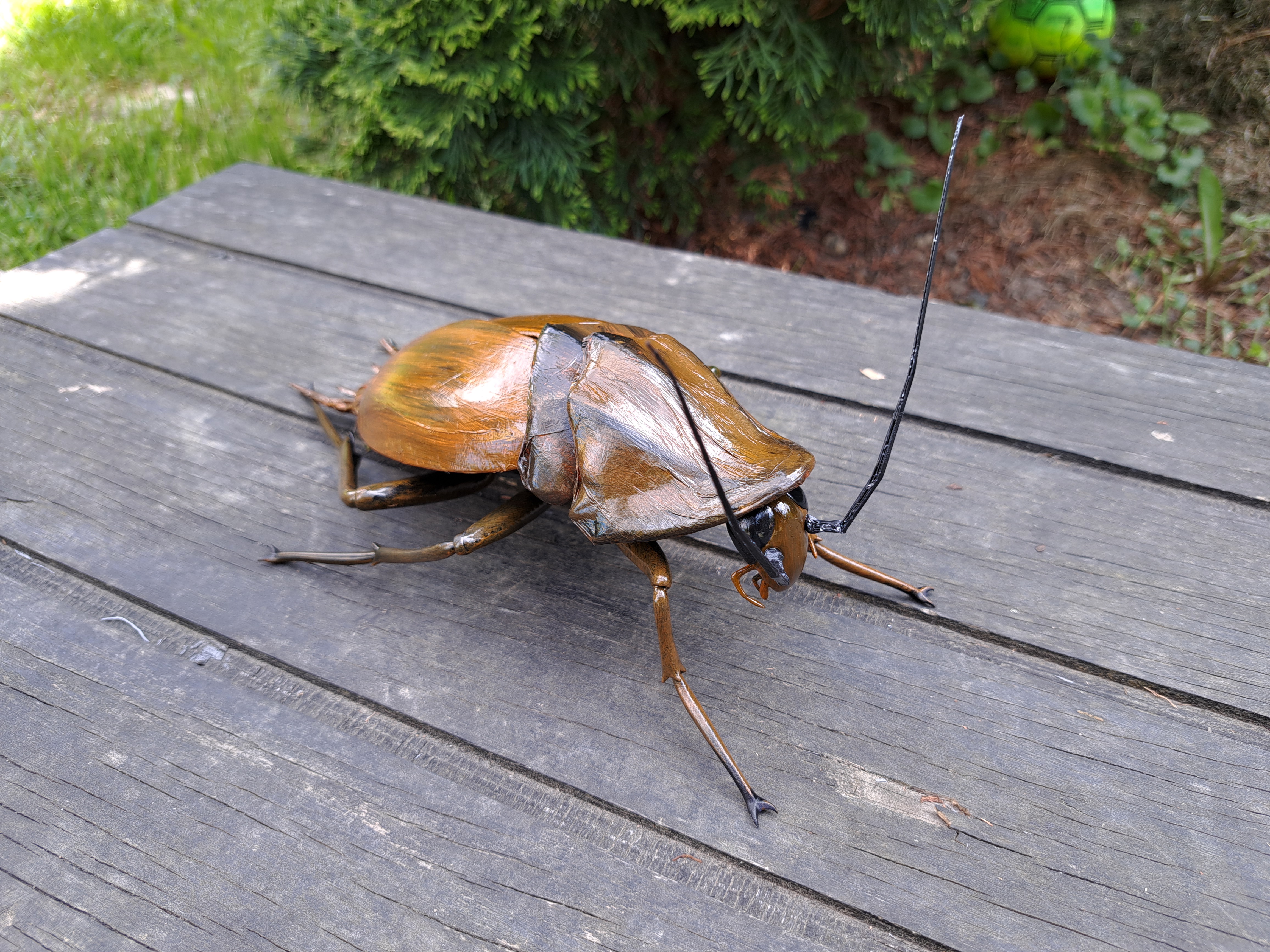 Radroach, giant Cockroach DIY KIT