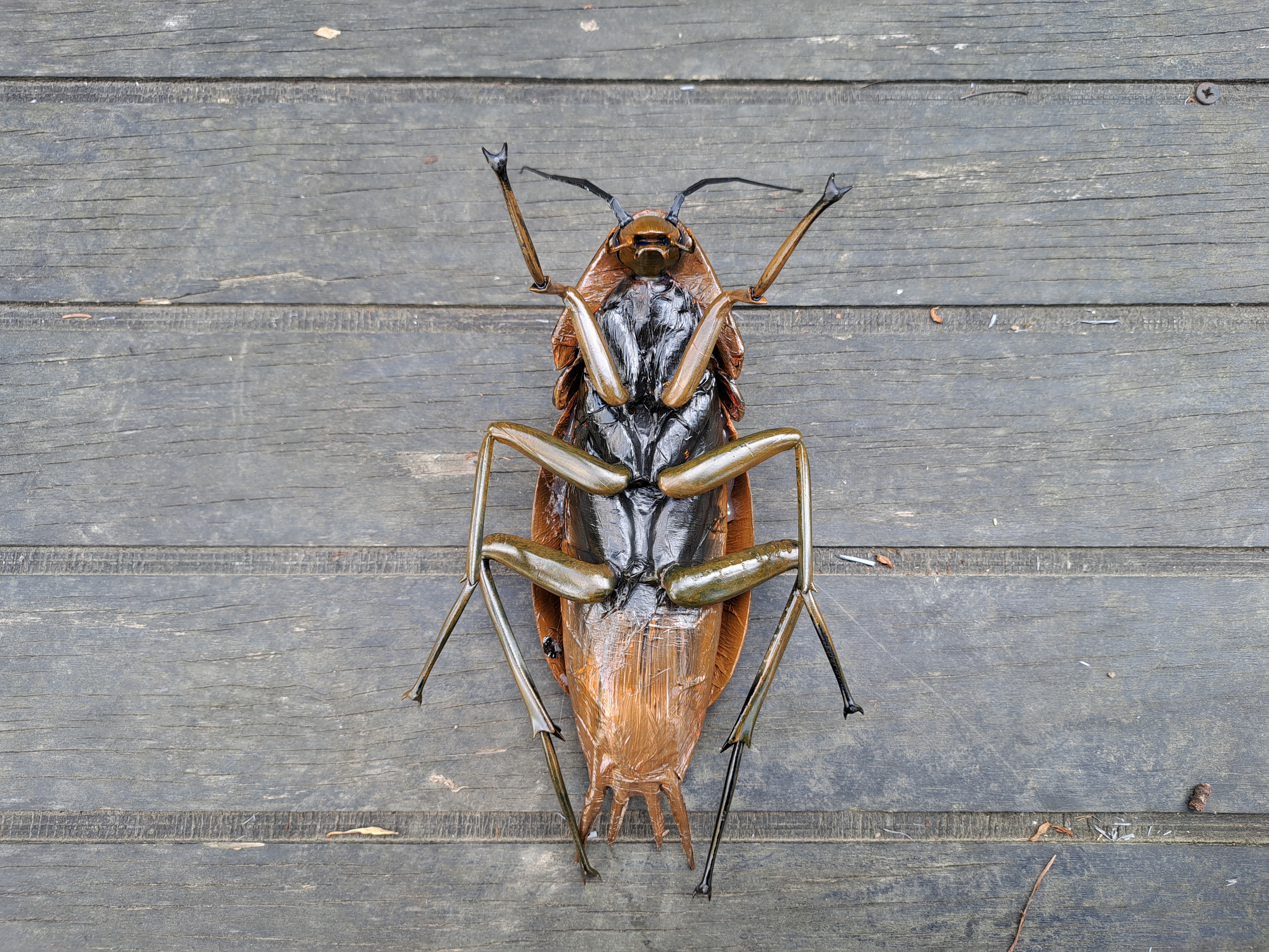 Radroach, giant Cockroach DIY KIT