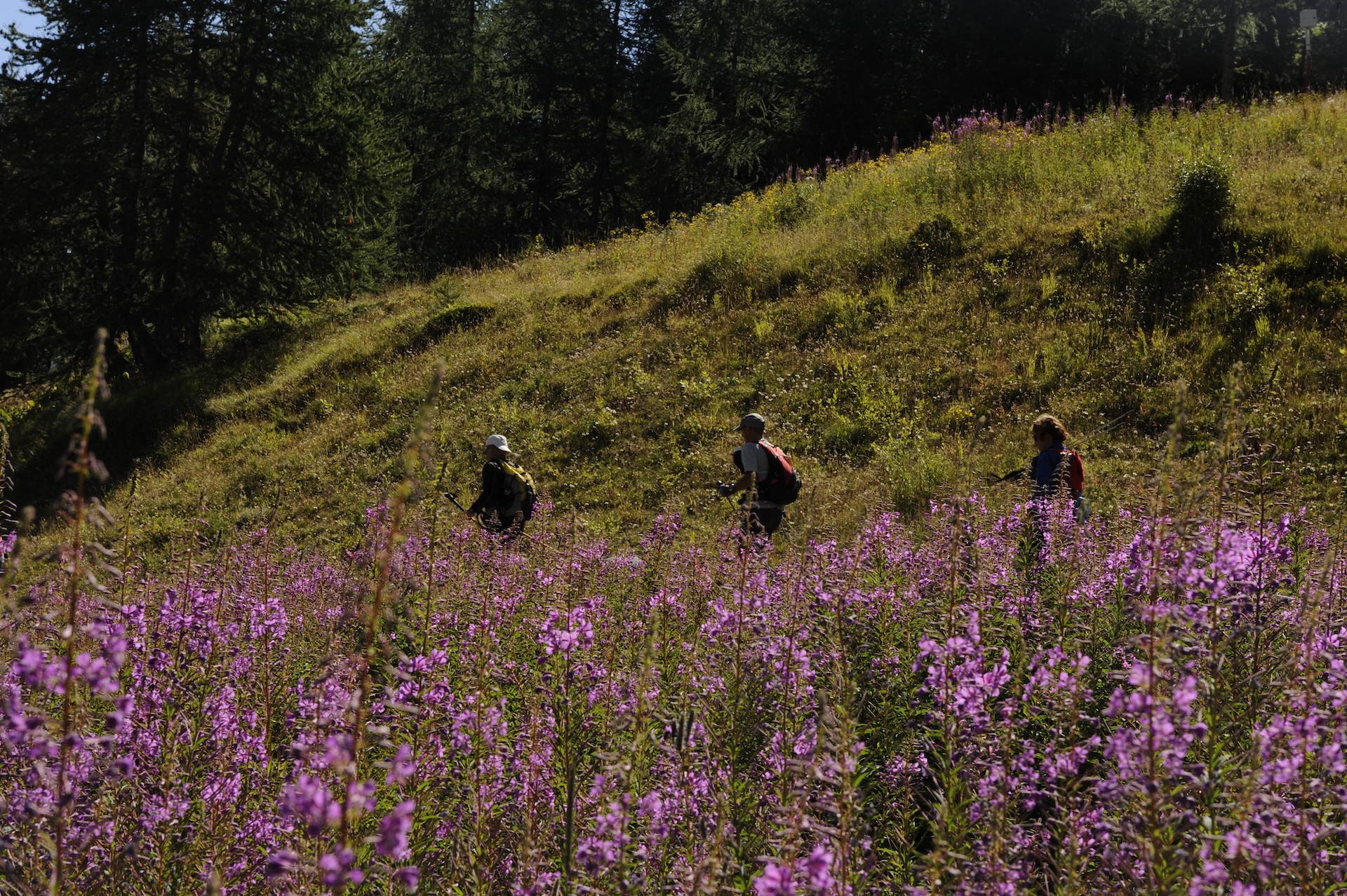 Stage Reconnaissance 90 km du Mont-Blanc - 12 au 14 Juin 2025