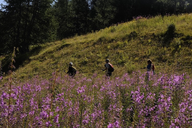 Stage Trail 100 % Femmes 