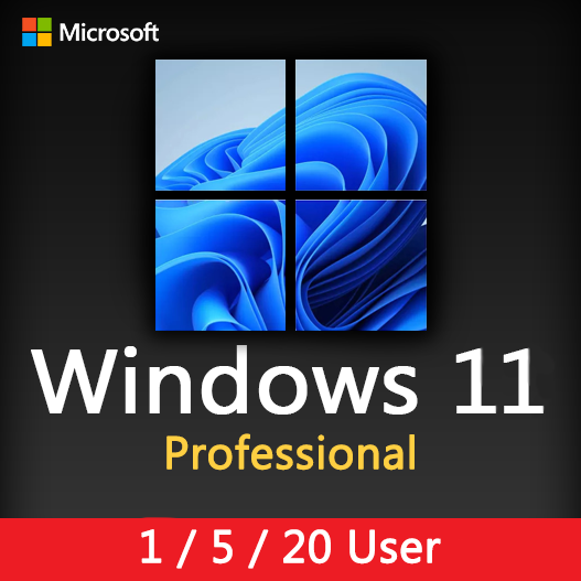 Windows 11 Professional