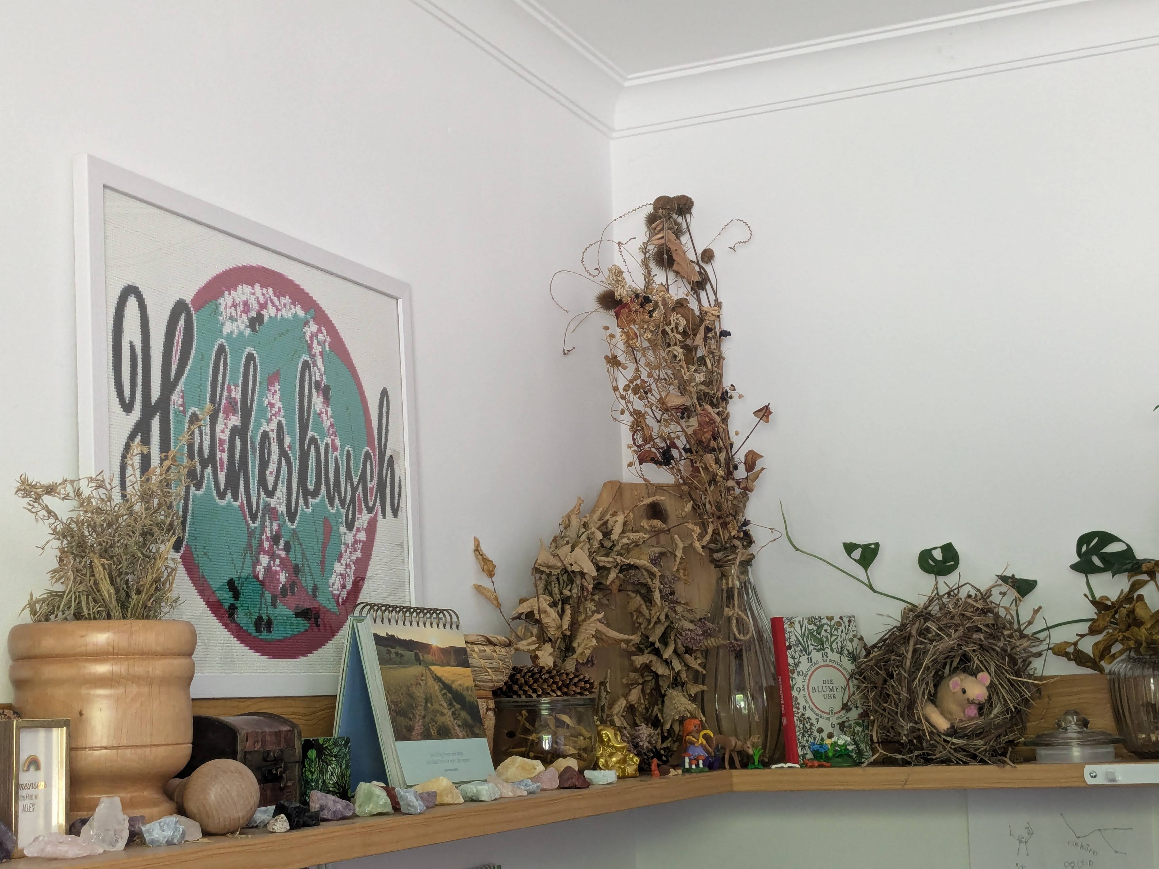 Gesundheitsberatung BASIS