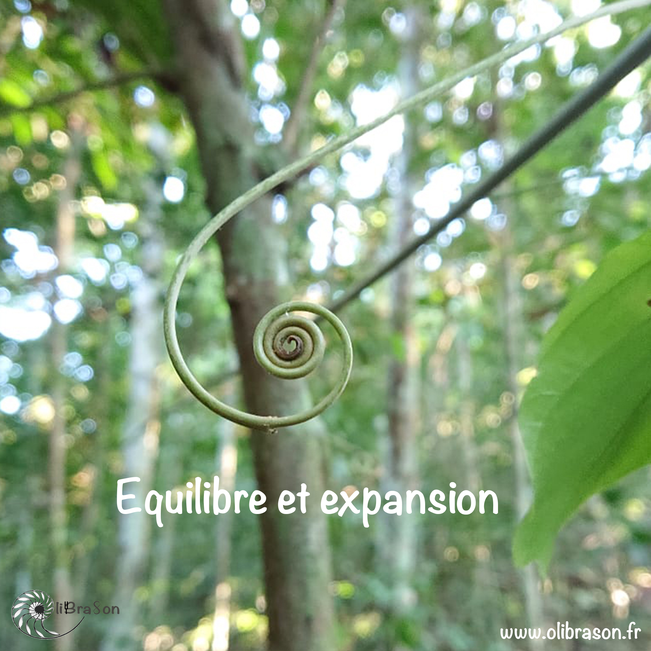 Equilibre et expansion - Voyage sonore intérieur