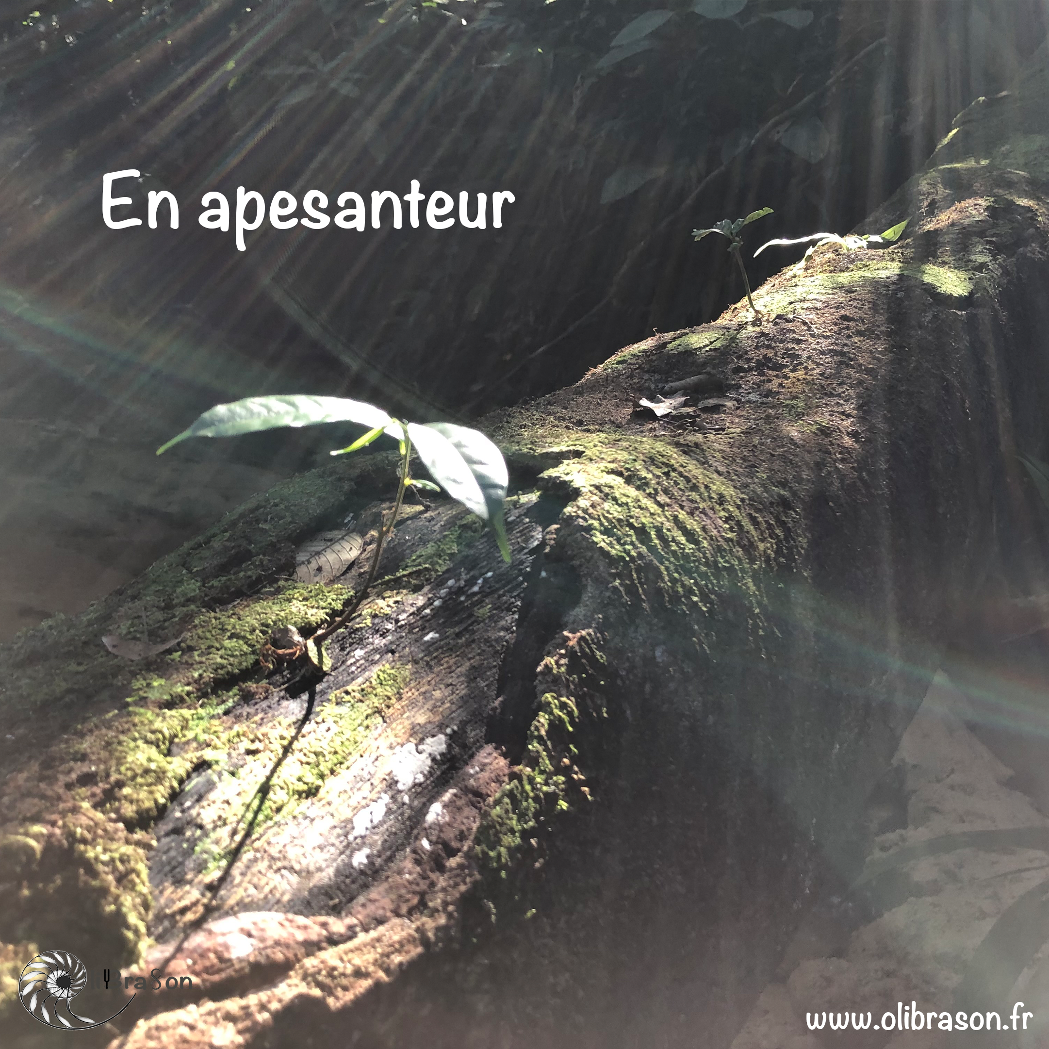 En apesanteur - Voyage sonore intérieur