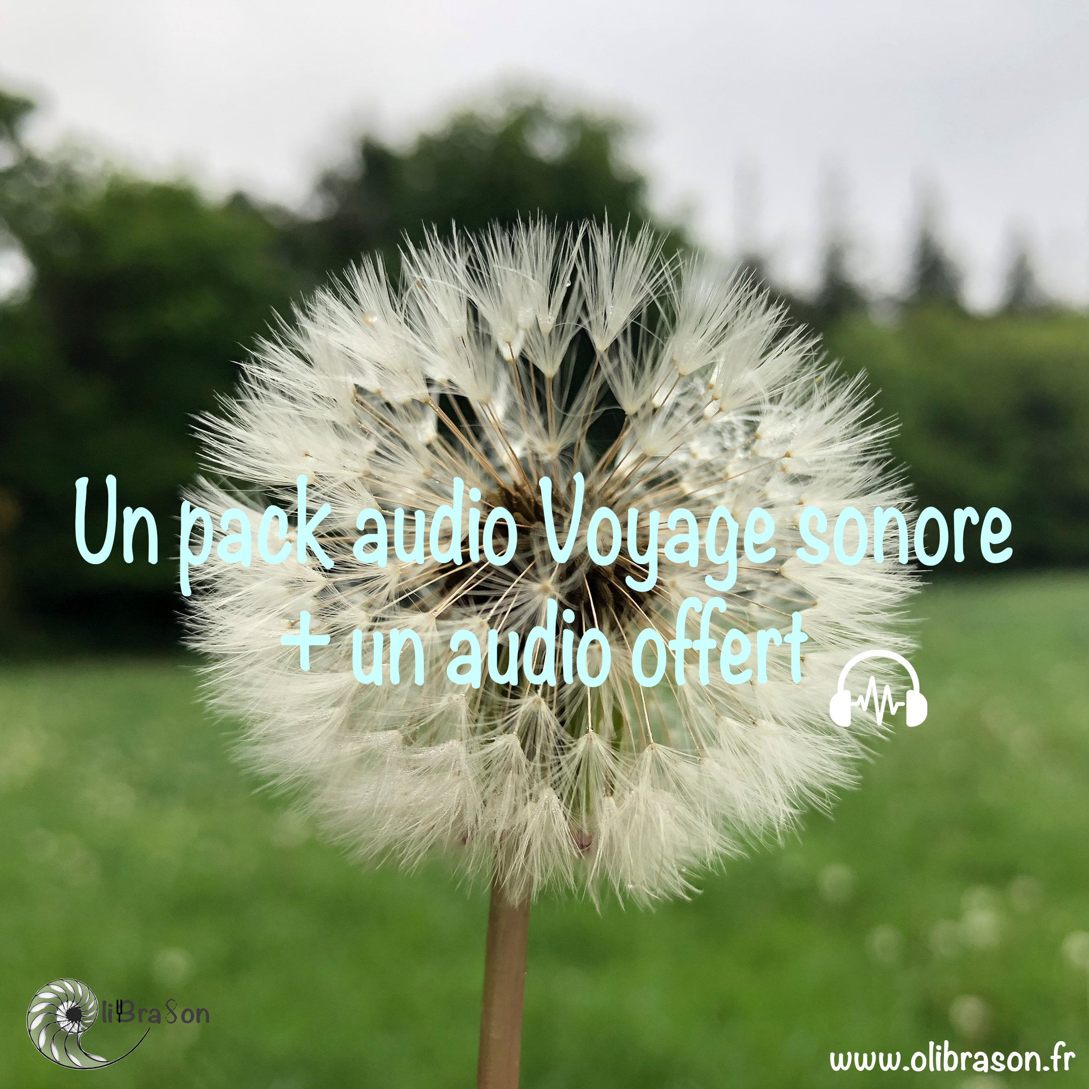 Carte cadeau: Pack audio “Sonorités Nomades” + audio cohérence cardiaque offert