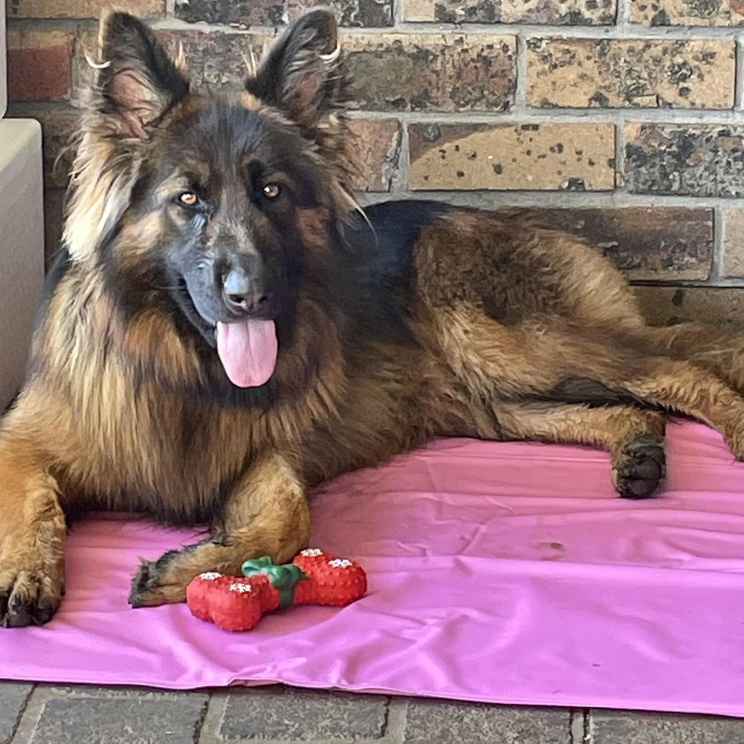 Dog Cooling Mat for Summer | Automatic Cooling, Easily Foldable, Non-Toxic Gel Interior | Pink, Size L