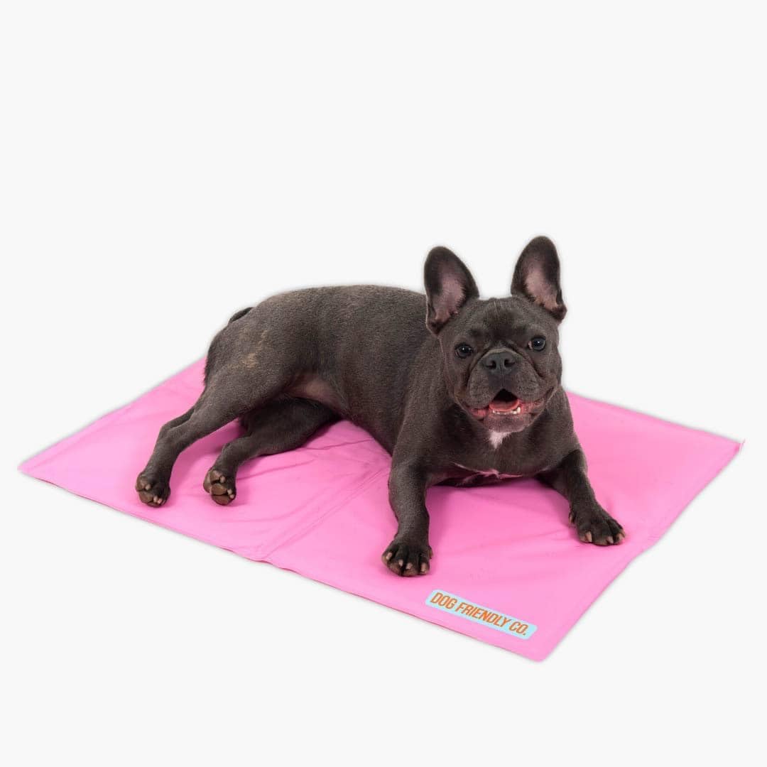 Dog Cooling Mat for Summer | Automatic Cooling, Easily Foldable, Non-Toxic Gel Interior | Pink, Size L