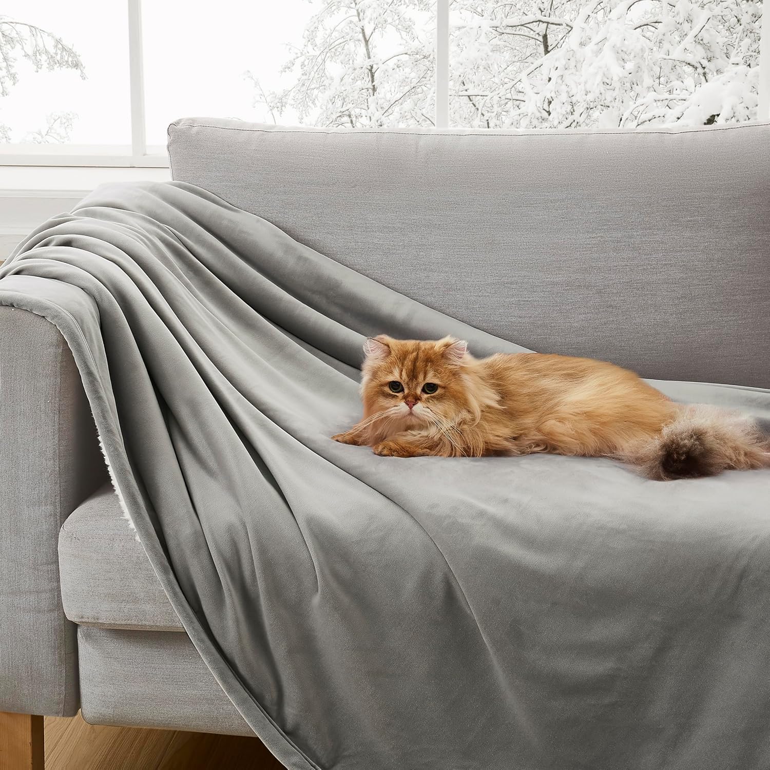 Bliss Throw Blanket Plush Soft Fleece Fluffy Blankets for Bed or Couch Oversized Warm Reversible Machine Washable Medium Weight Home Decor Giftable Throw, 50-inch x 70-inch, Seal Grey
