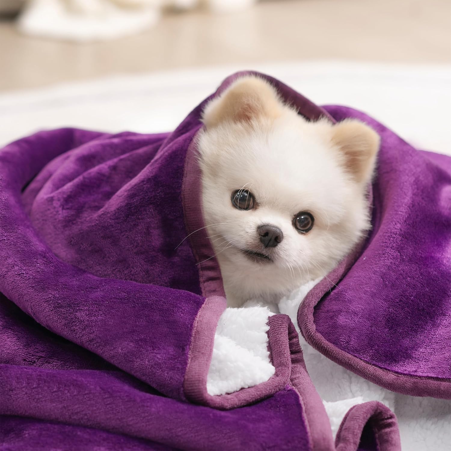 Waterproof Bed Blanket, Reversible Sherpa Fleece Throw Blanket for Dog Puppy Cat, Furniture Cover Protects Bed Couch Sofa from Liquid Pee and Pet Fur (Dark Purple, 50x60 inches)