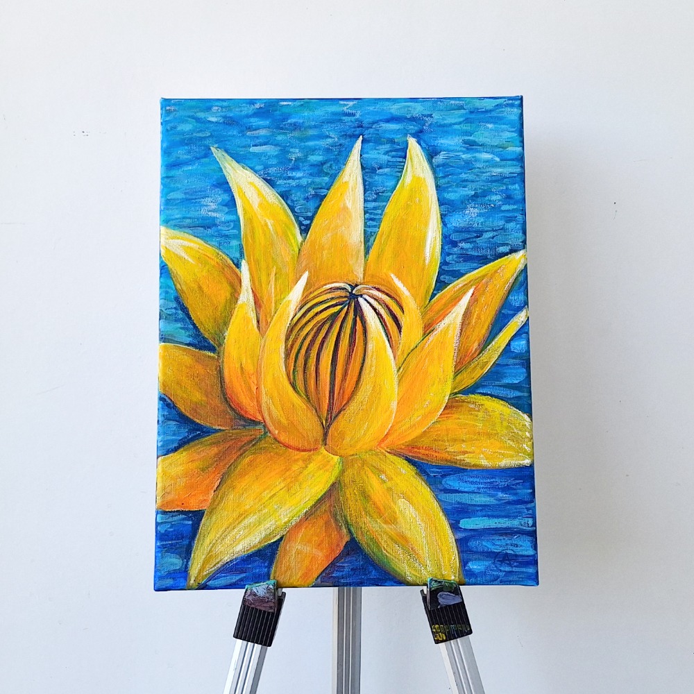 Water lily