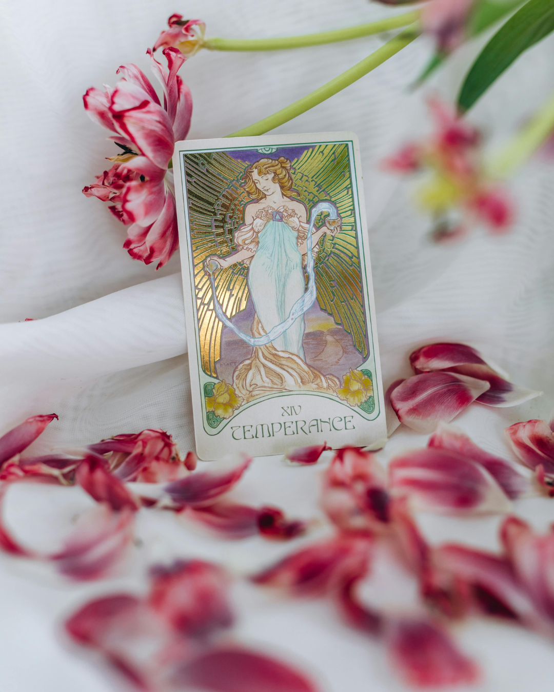 Lectura Evolutiva de Propósito y Misiones Espirituales