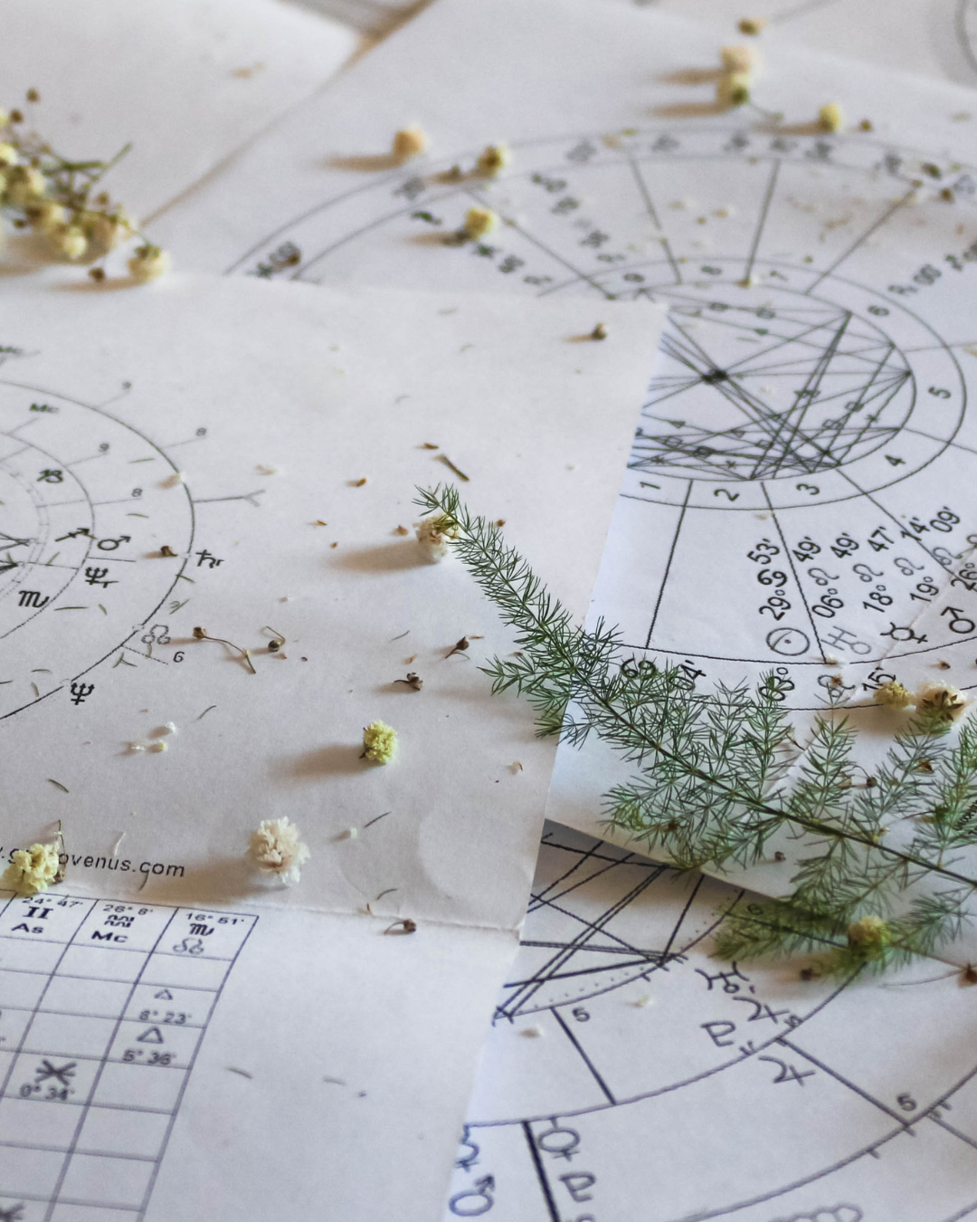 Lectura Completa de Carta Astral Natal