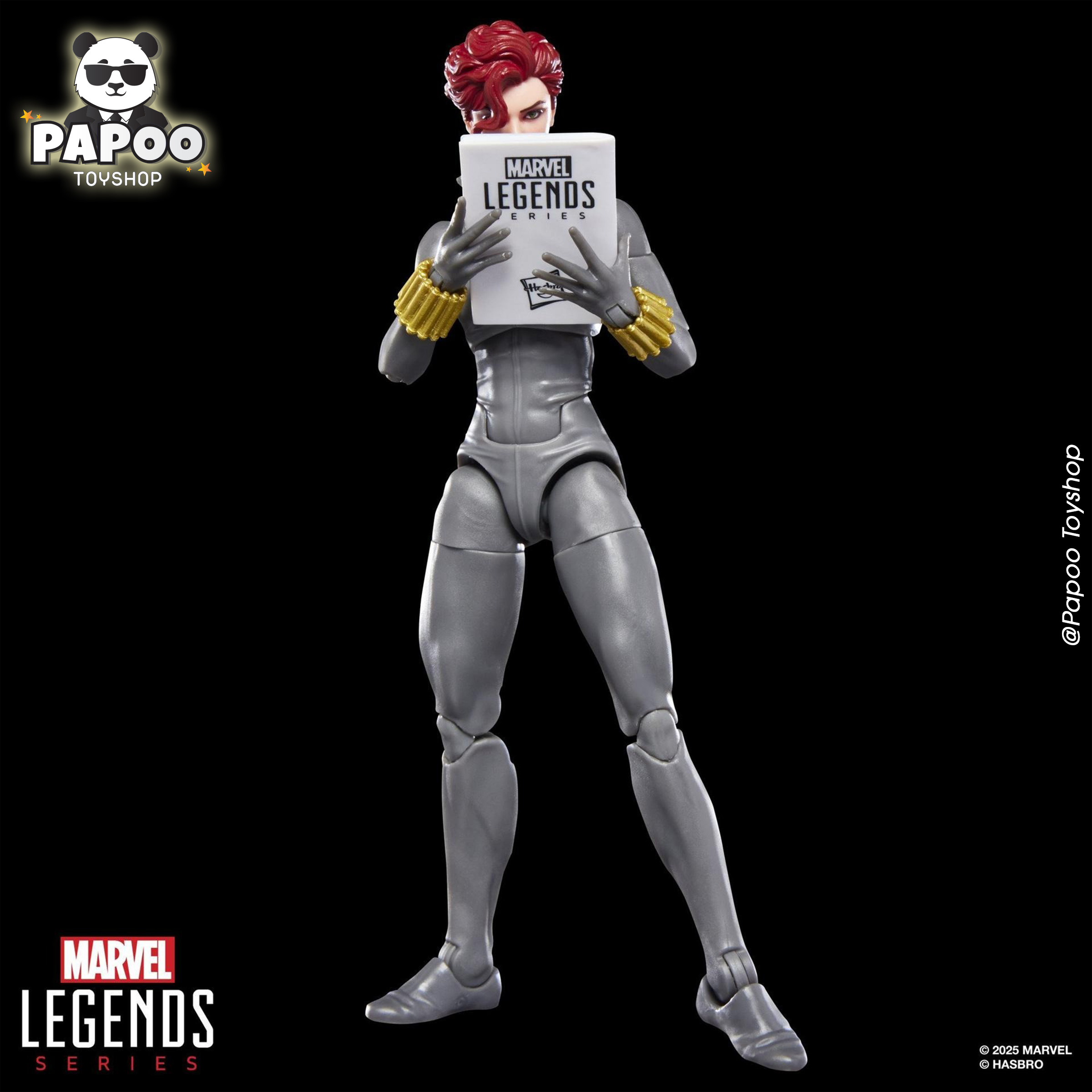 Hasbro Marvel Legends Series Black Widow