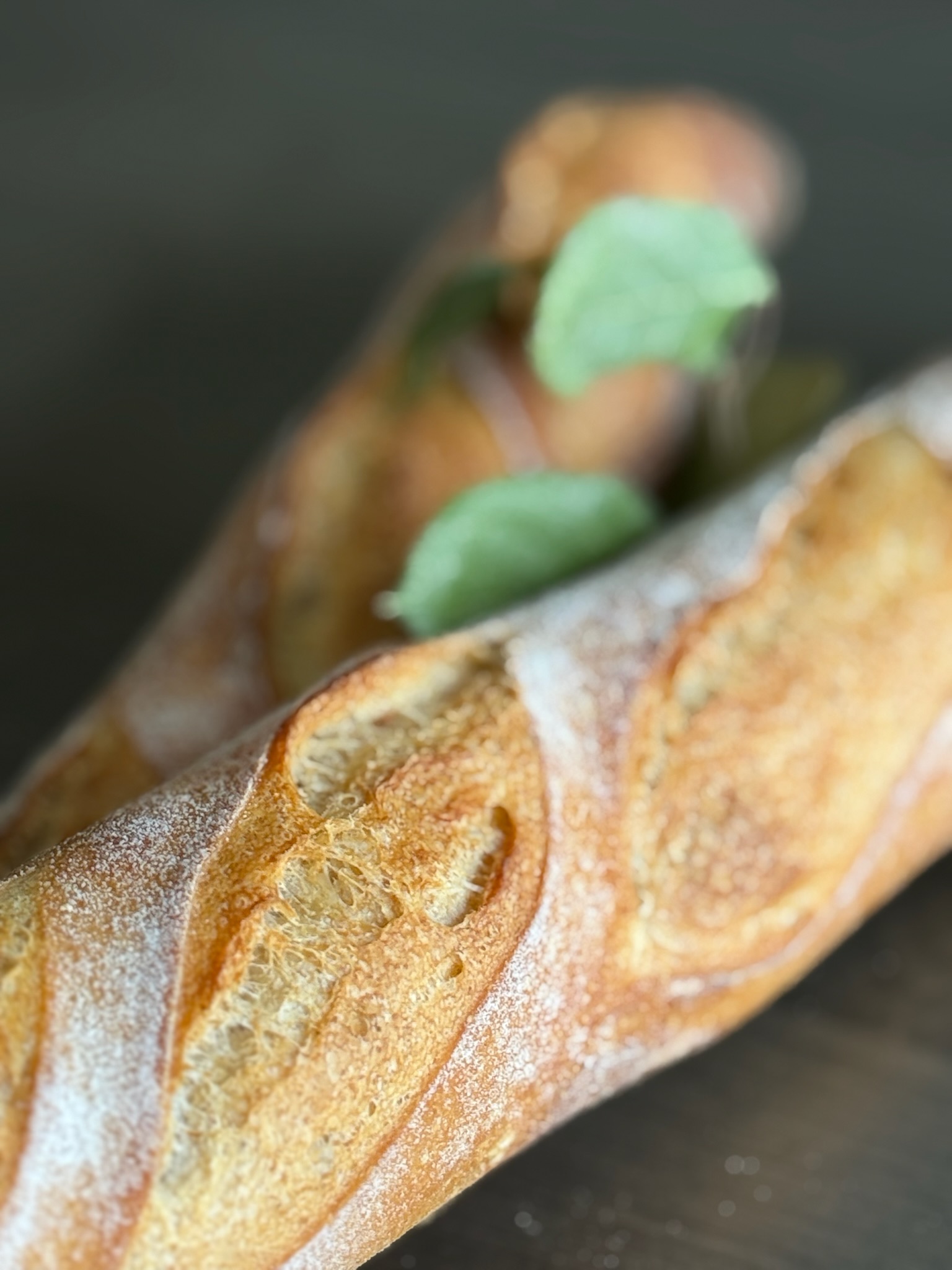 Sourdough Baguette
