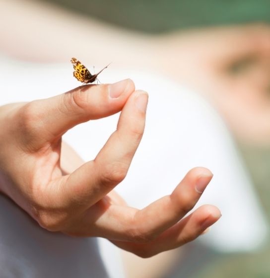 Terapia Energética ThetaHealing: Conecta con tu Propósito