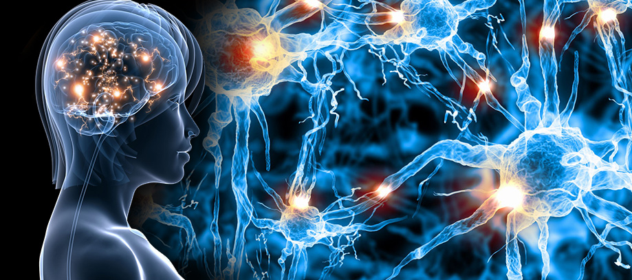 Taller Terapia de Memoria Celular